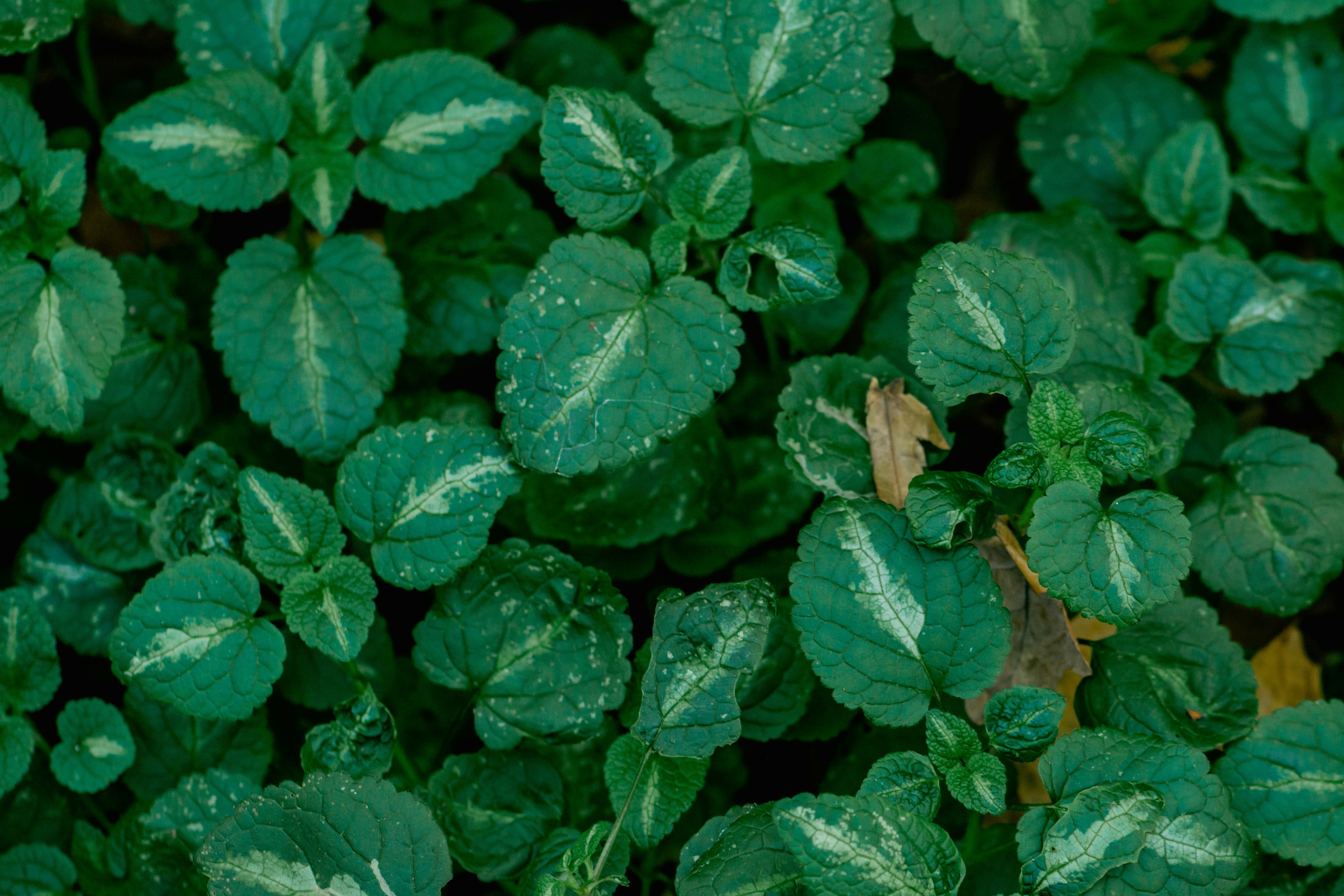 Photo by eugenivy_now