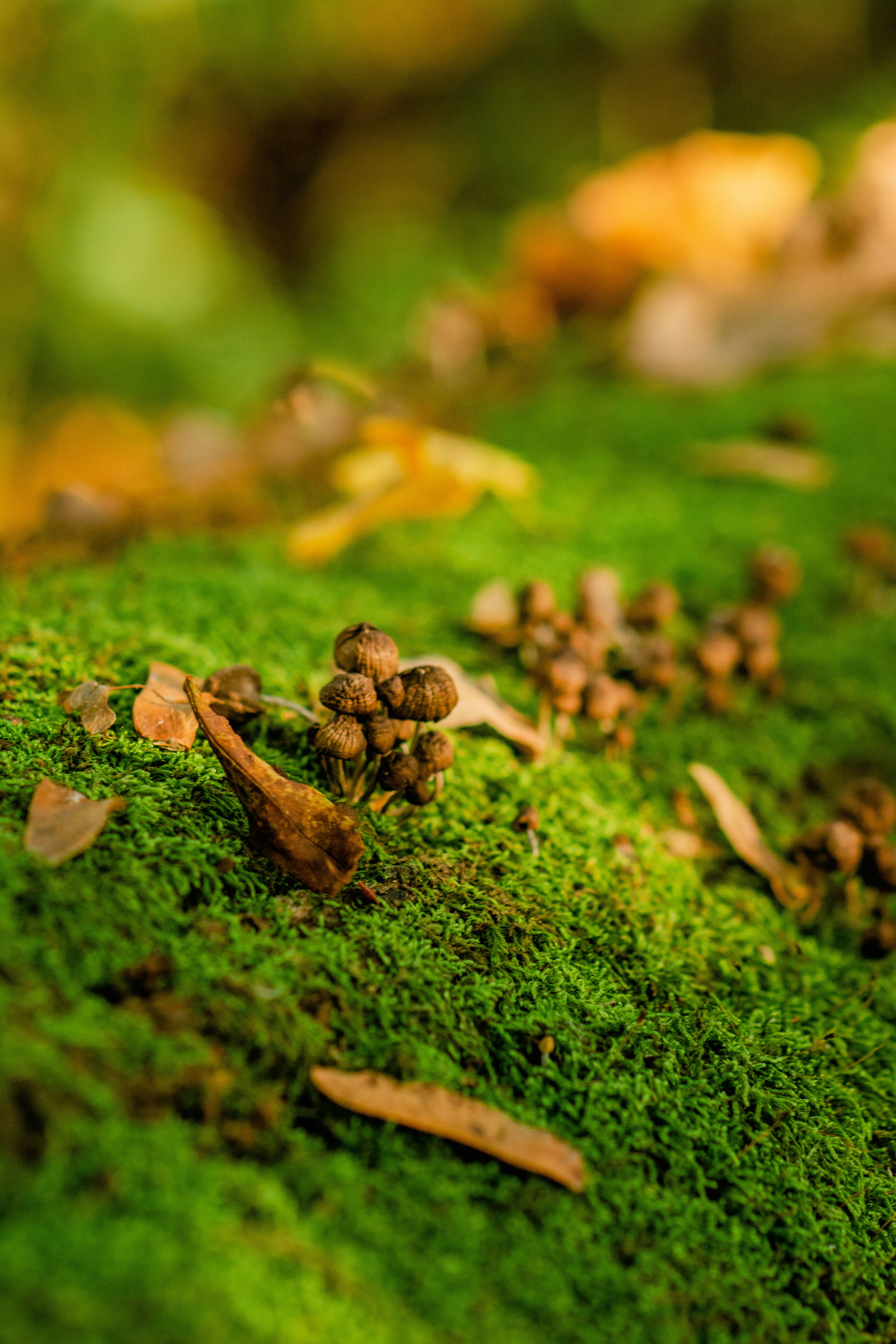 Photo by eugenivy_now