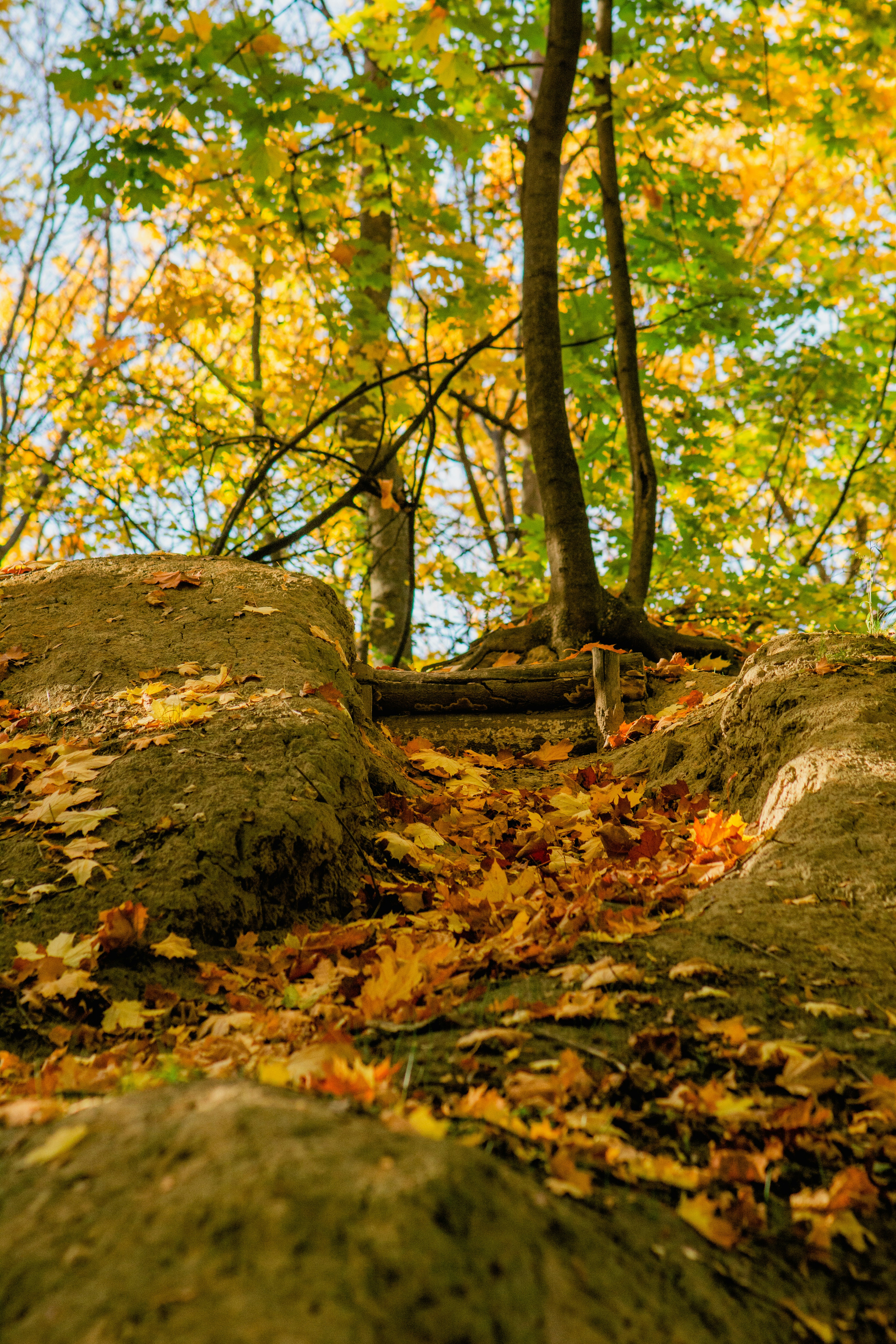 Photo by eugenivy_now