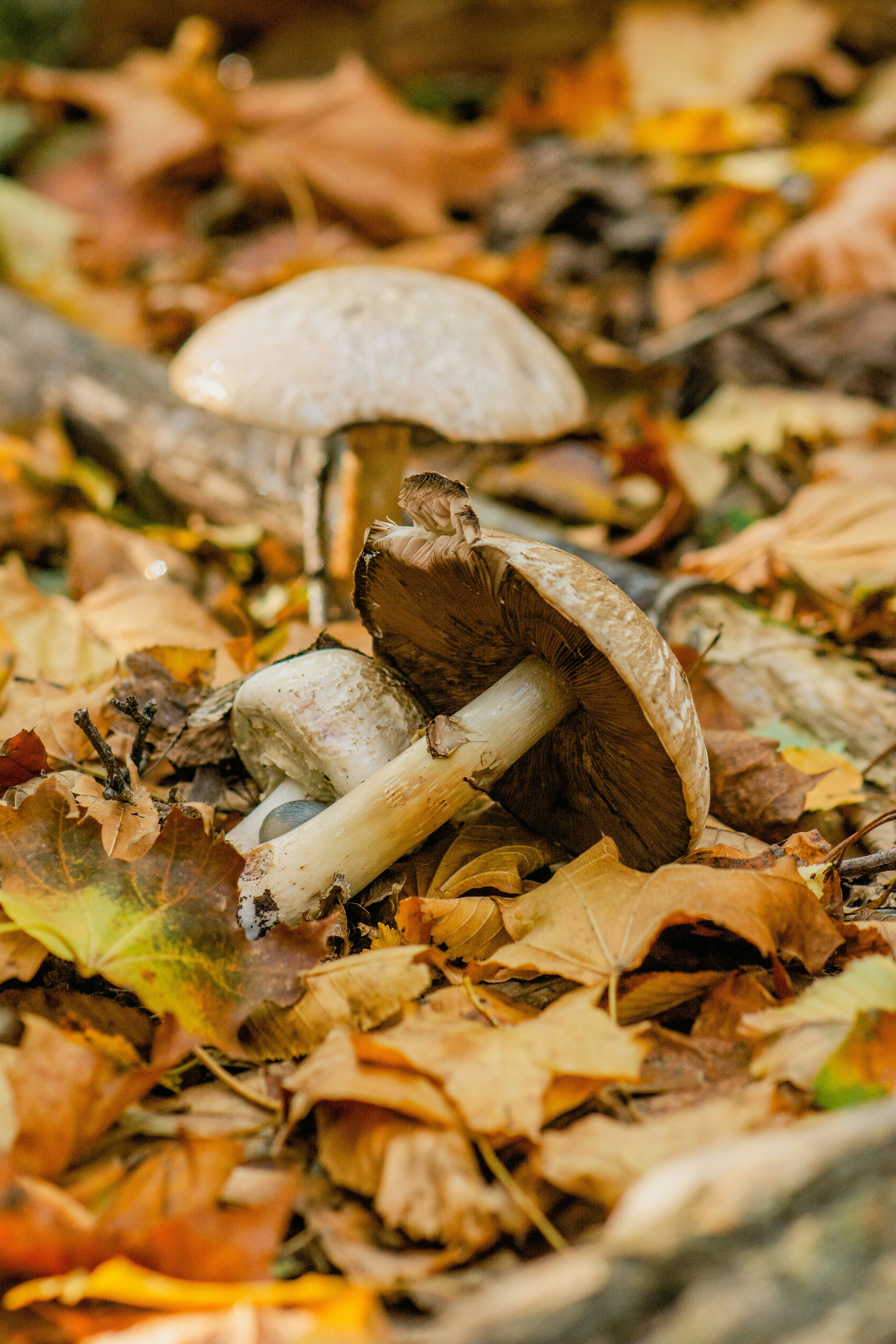 Photo by eugenivy_now