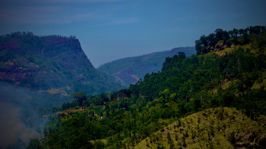 Saba