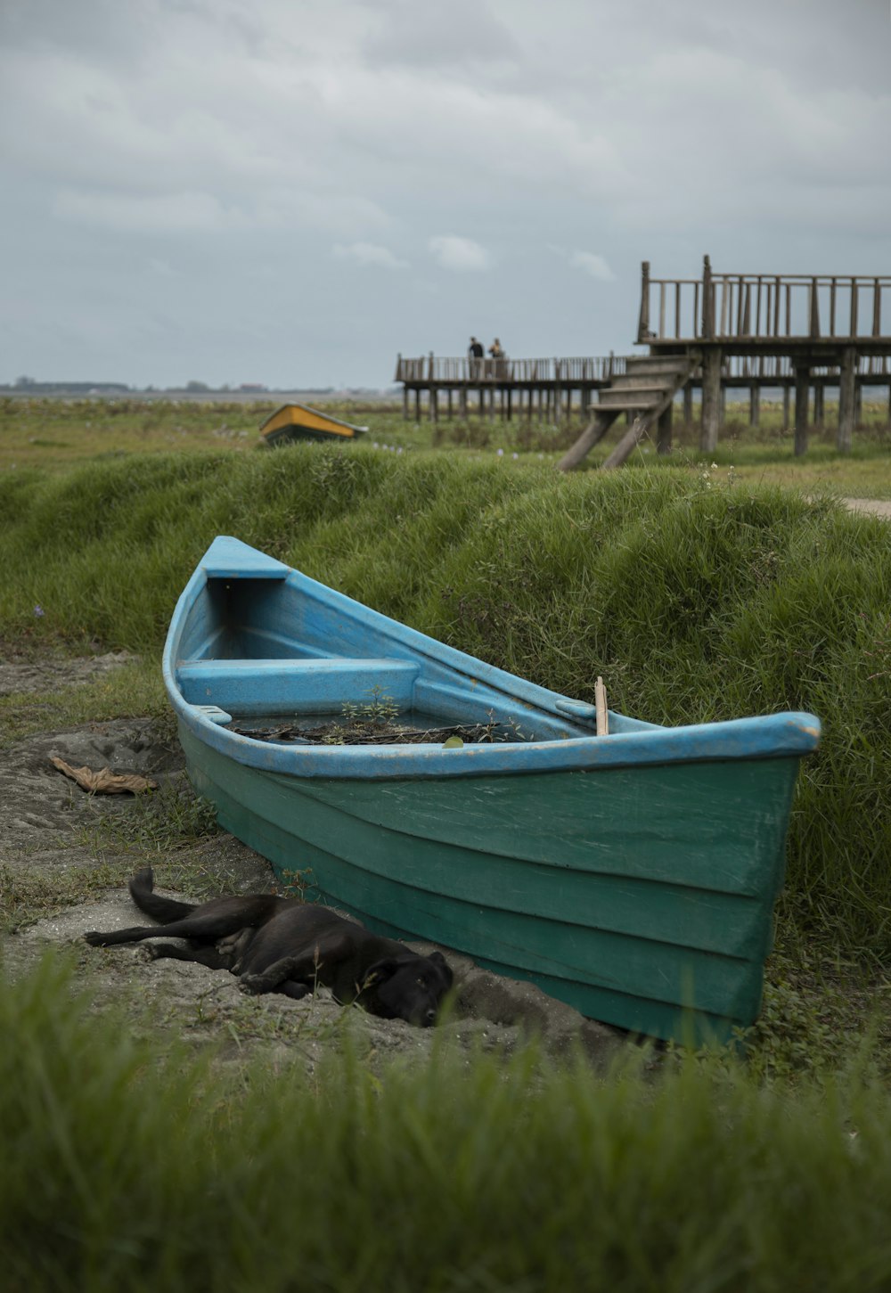 a dog lying in a blue boat on grass by a beach