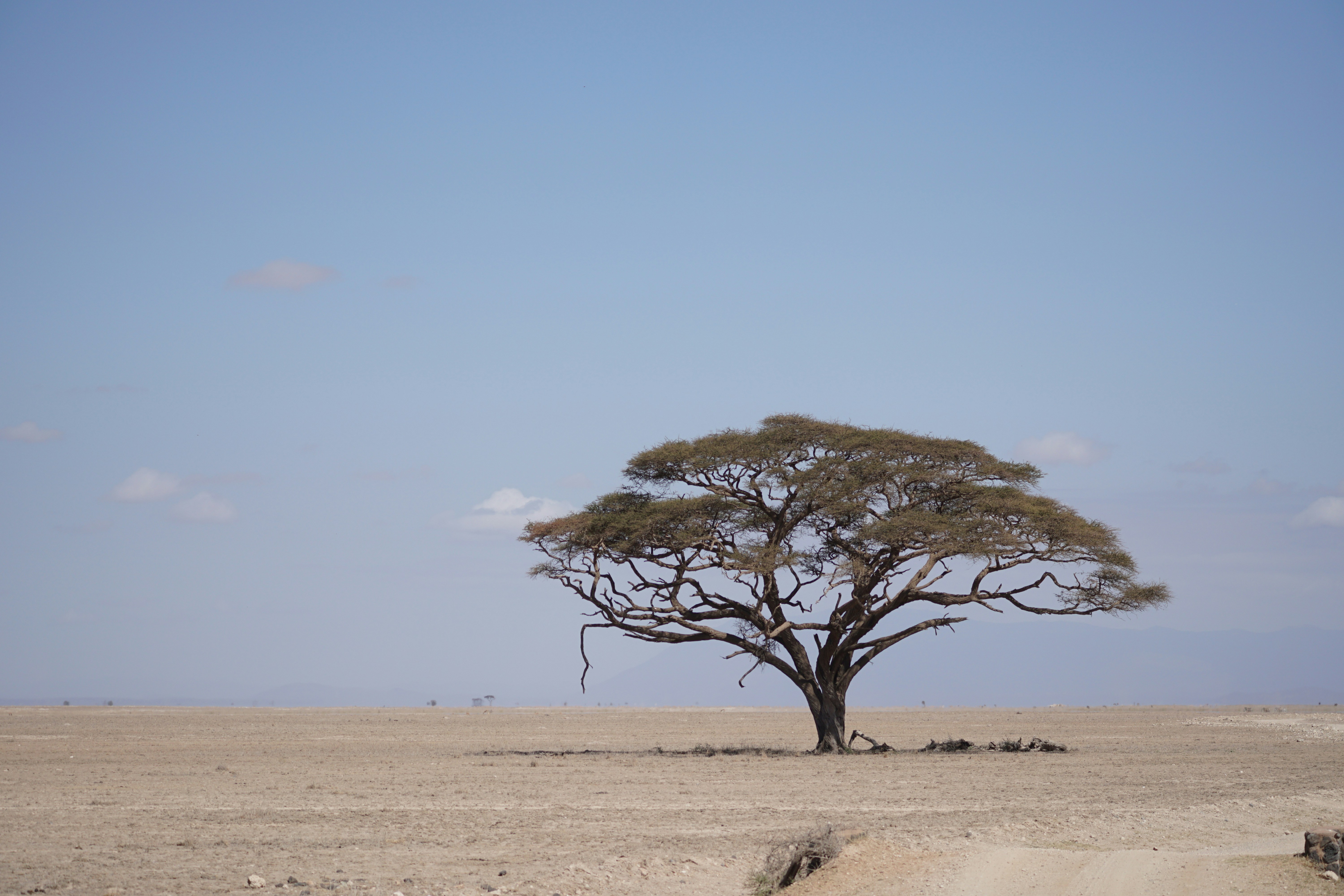 Photo by jan_zinnbauer