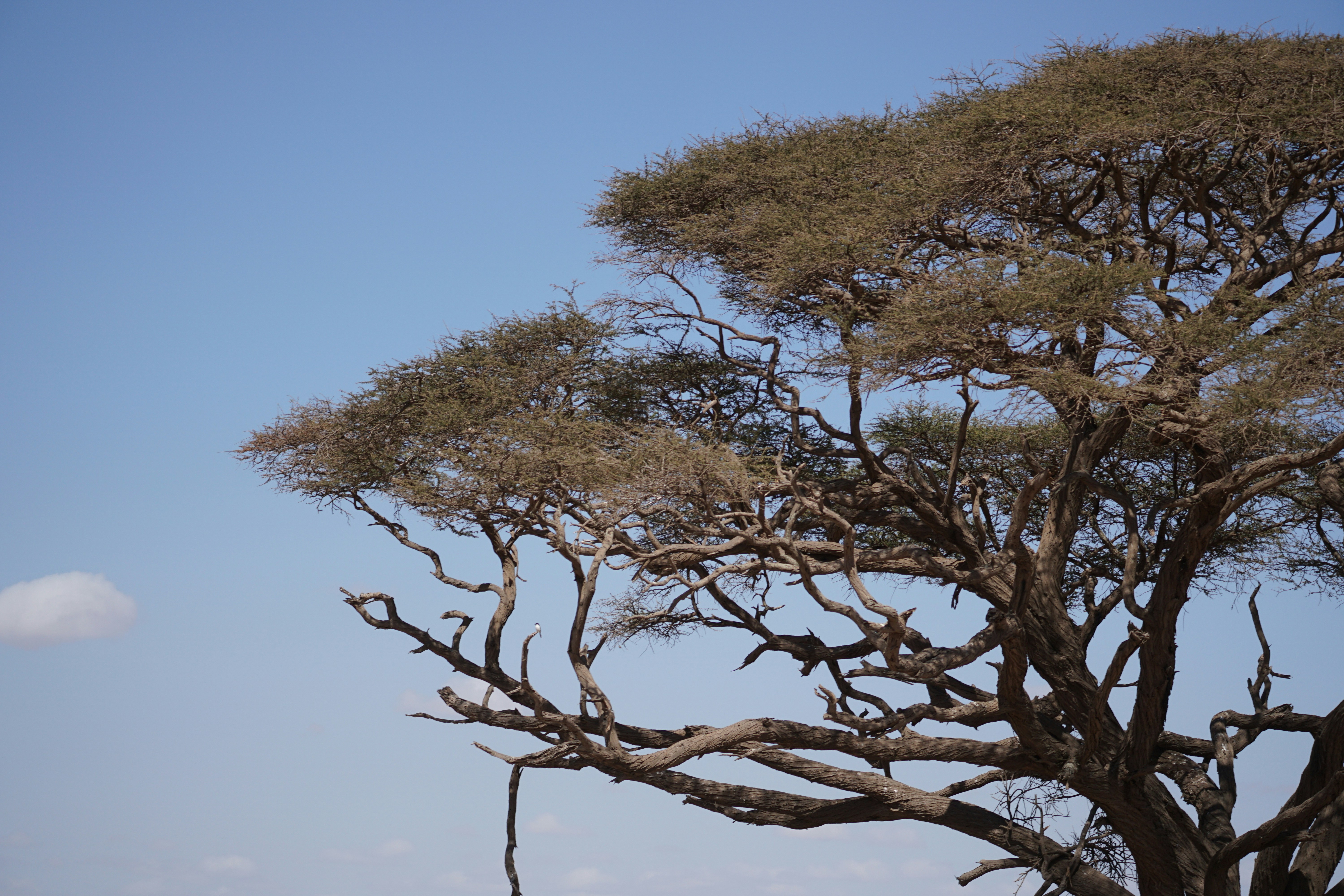 Photo by jan_zinnbauer