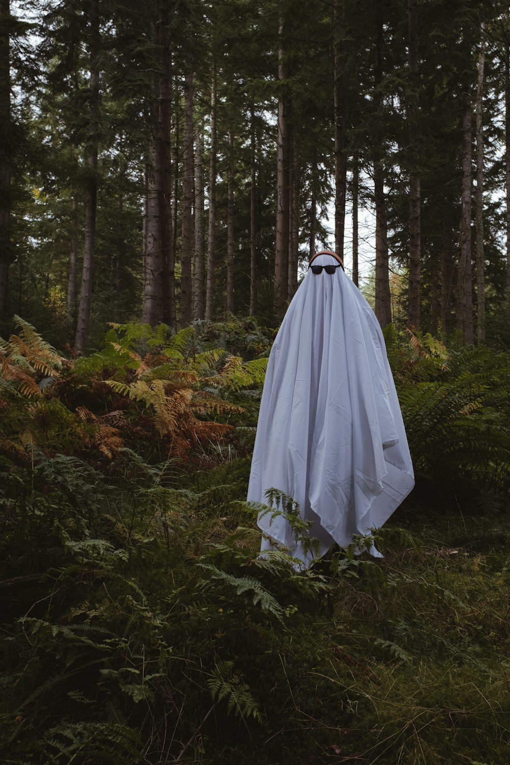 a white dress in a forest