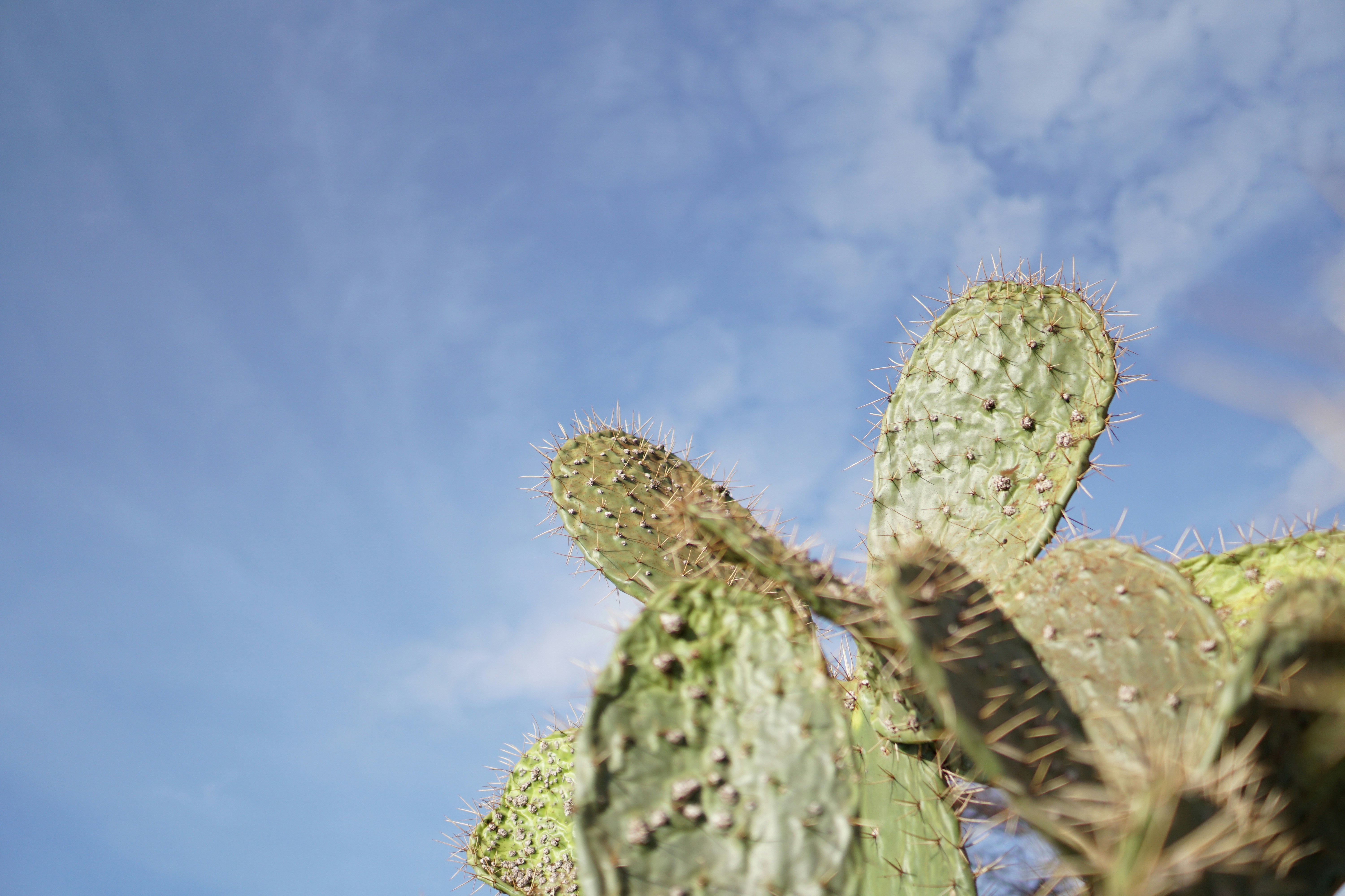 Photo by jan_zinnbauer