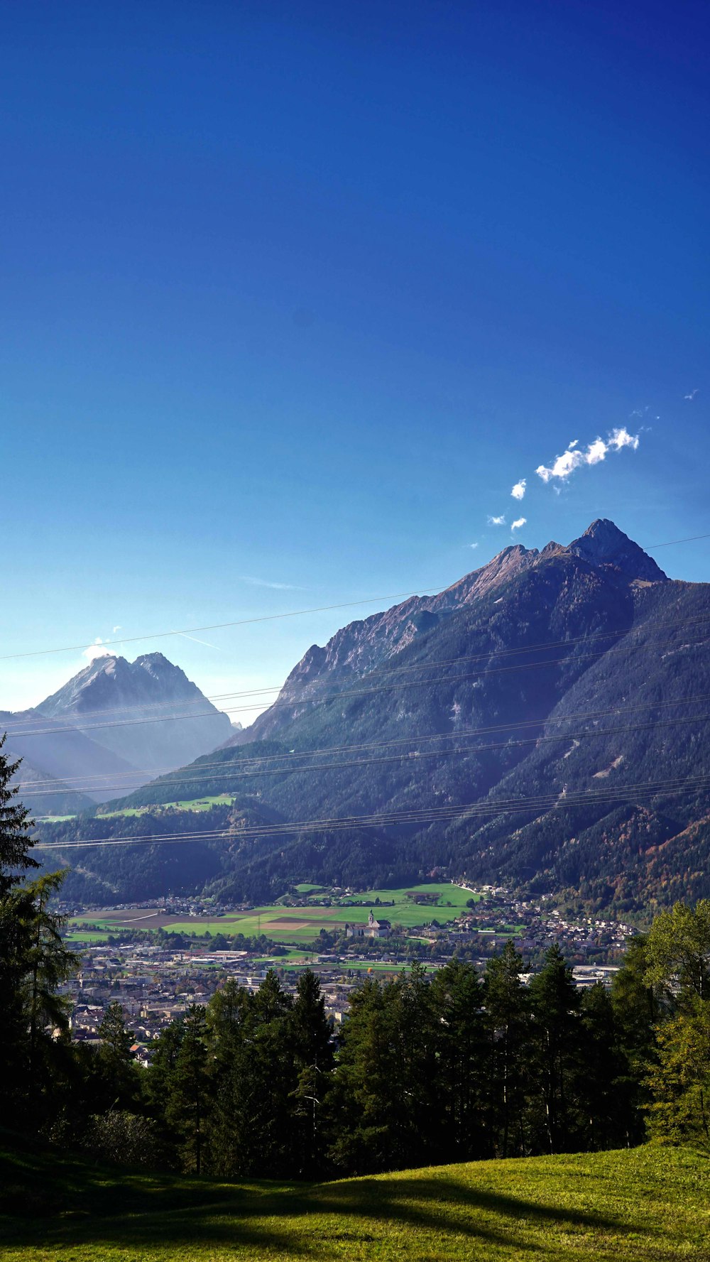 a landscape with trees and mountains in the back