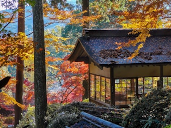 A traditional Japanese house is nestled among vibrant autumn foliage. The leaves display a range of colors including red, orange, and yellow. Sunlight filters through the trees, casting dappled light on the wooden structure. The windows of the house are framed by dark wood and reveal the serene interior. The surrounding forest and the decay of leaves on the roof add a natural, peaceful atmosphere.
