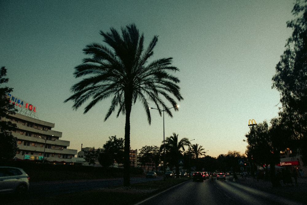 a street with palm trees and buildings