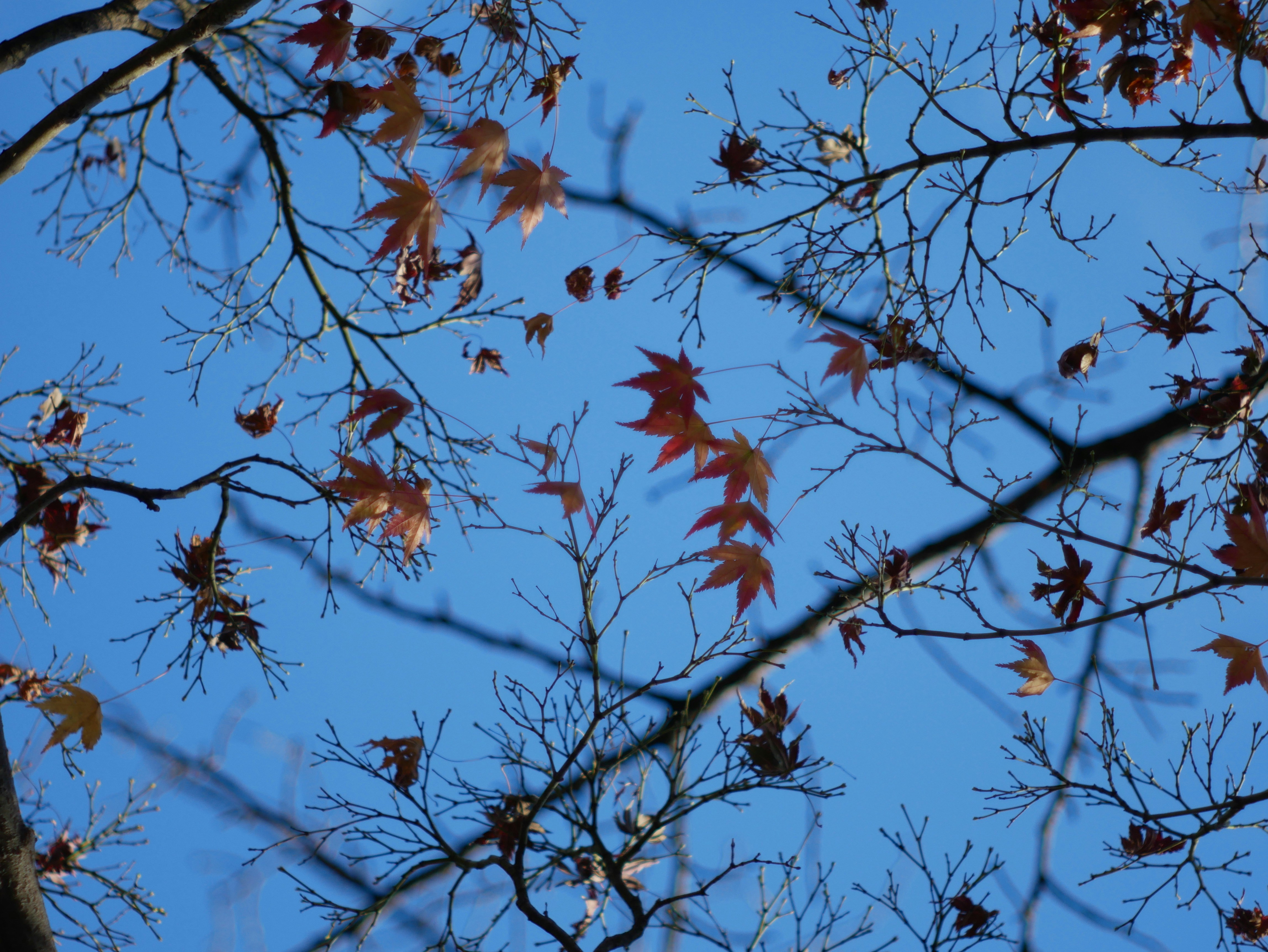 Photo by moon_river_88