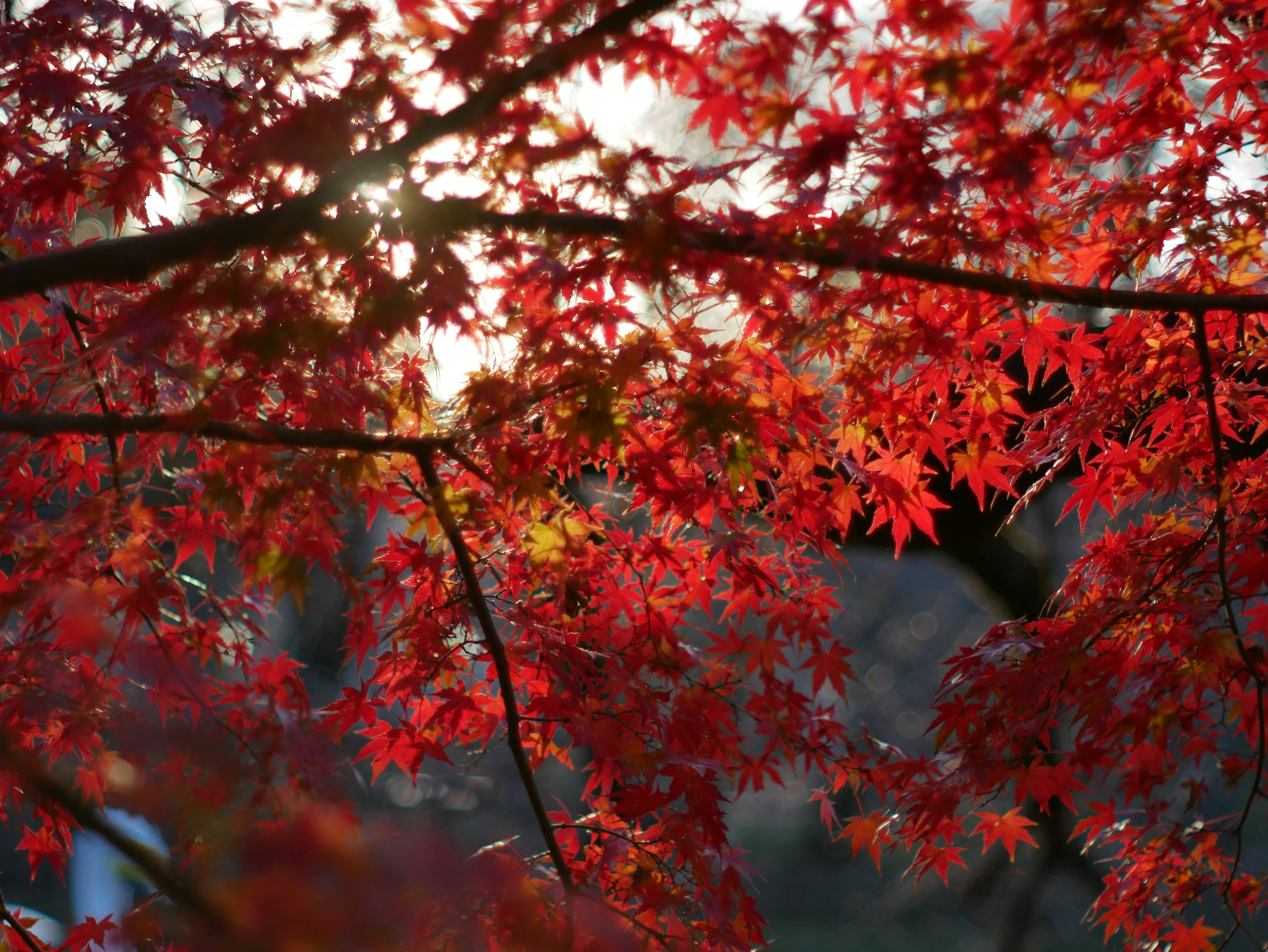 Photo by moon_river_88