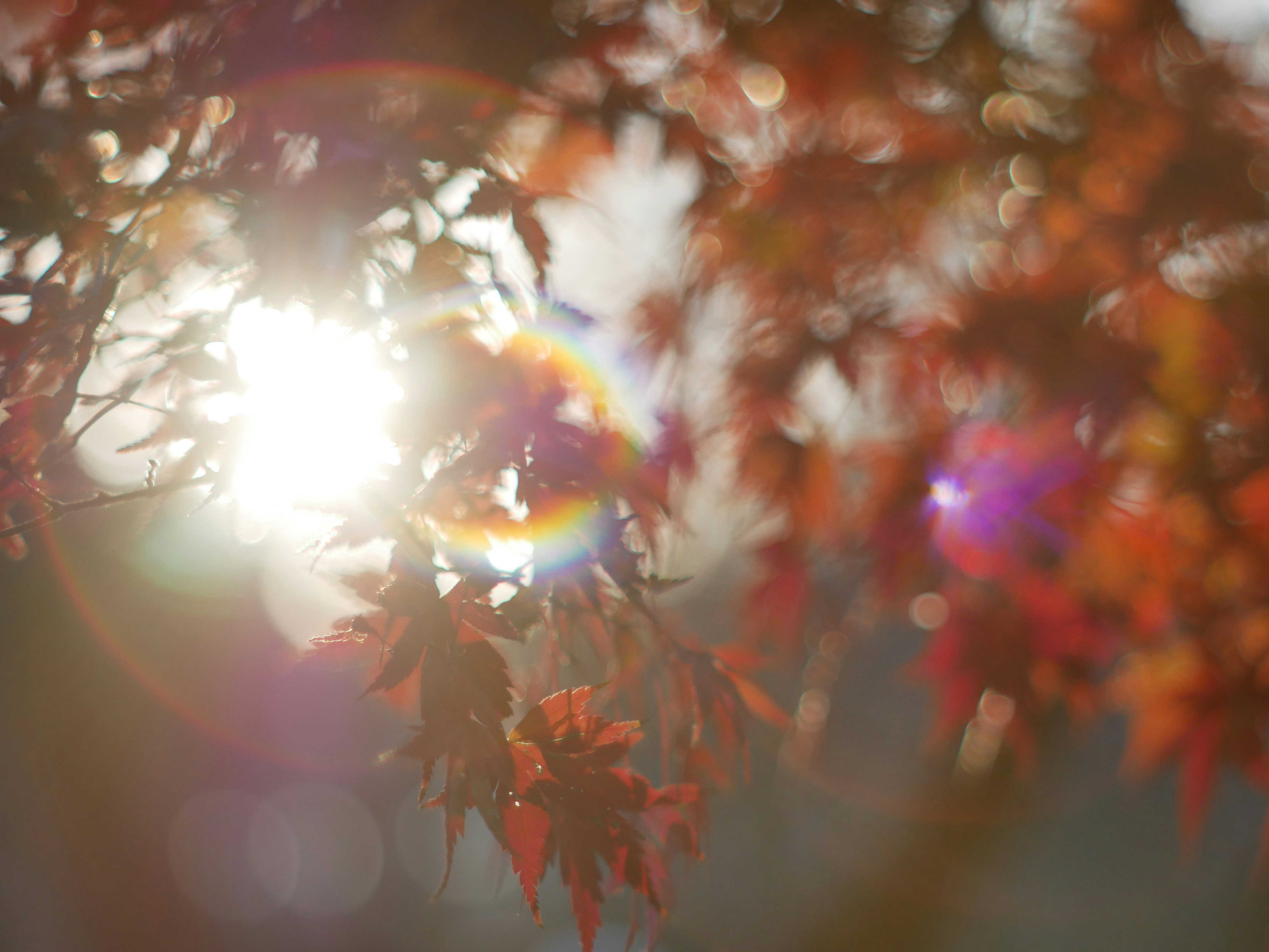 Photo by moon_river_88