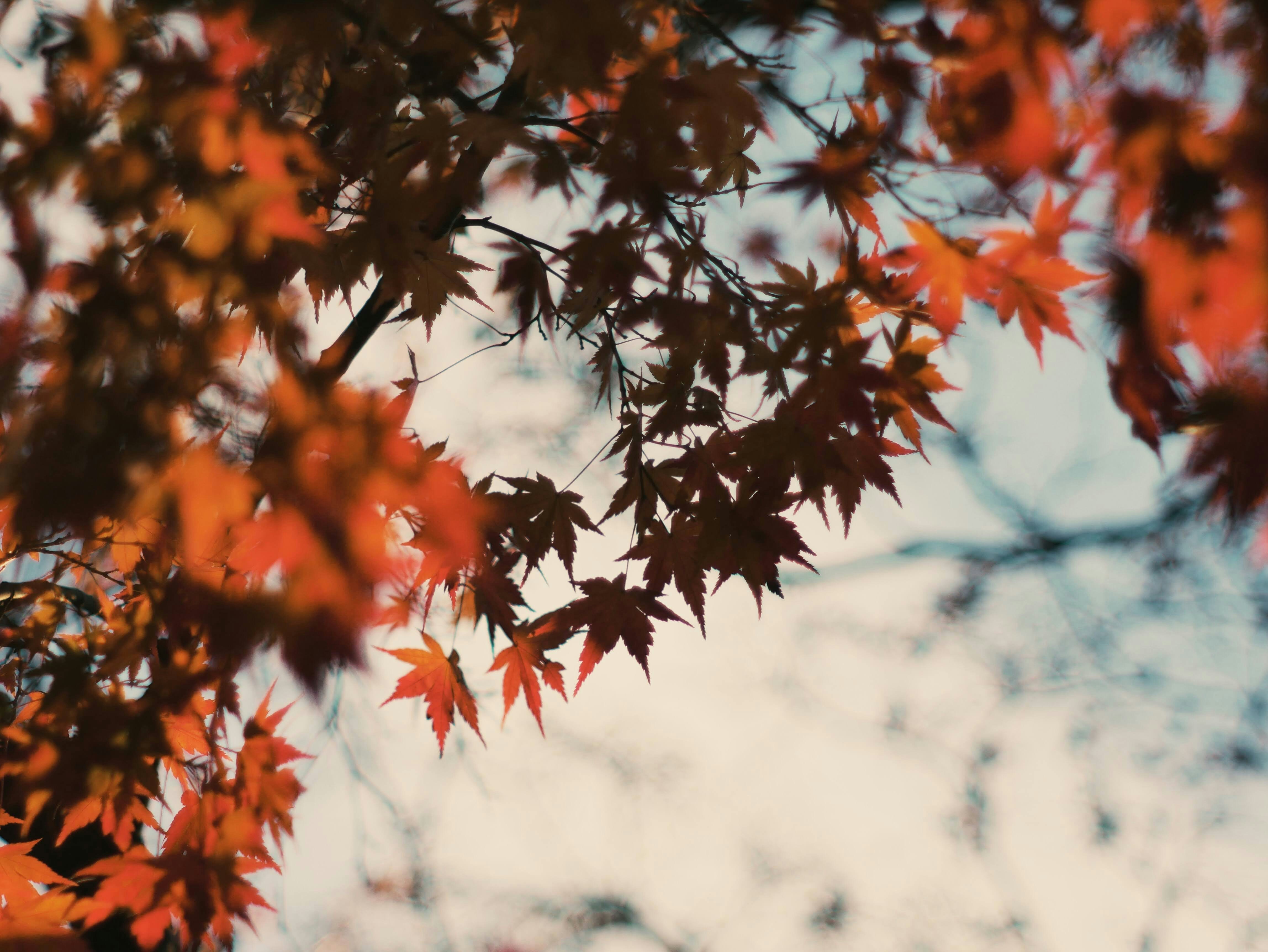 Photo by moon_river_88