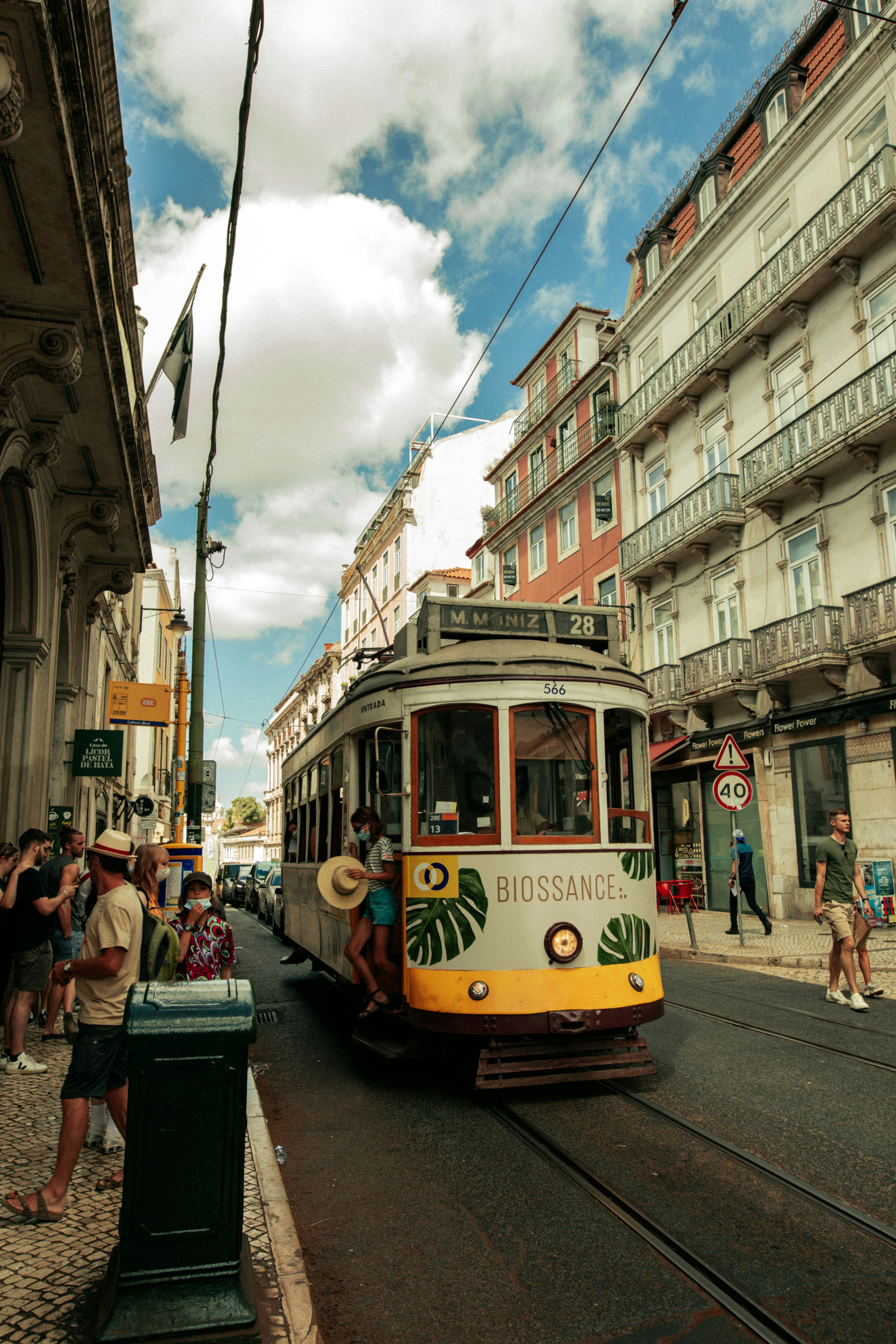 Photo by severinealves