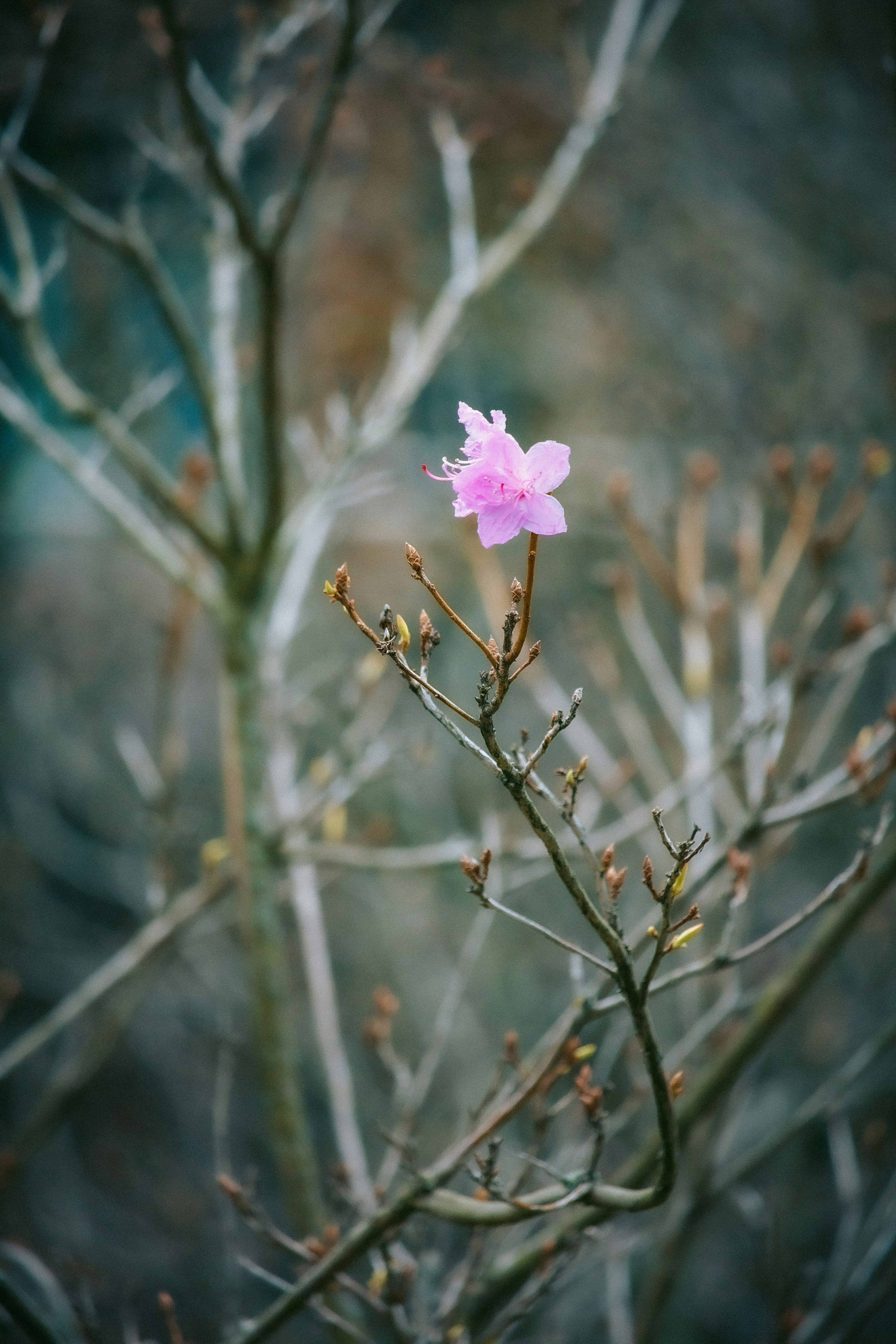 Photo by suosikki_kuvat