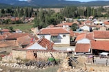 A rural village scene with numerous houses featuring red-tiled roofs. The buildings are surrounded by greenery and tall trees, set against a backdrop of distant mountains and fields. Stone walls and wooden logs are visible in the foreground, suggesting an agricultural setting.
