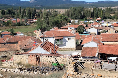 A rural village scene with numerous houses featuring red-tiled roofs. The buildings are surrounded by greenery and tall trees, set against a backdrop of distant mountains and fields. Stone walls and wooden logs are visible in the foreground, suggesting an agricultural setting.
