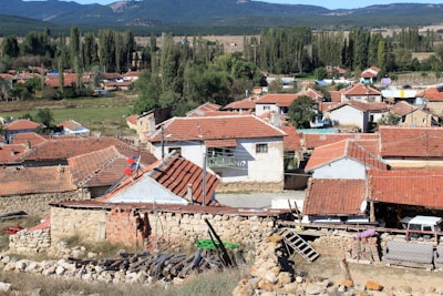 A rural village scene with numerous houses featuring red-tiled roofs. The buildings are surrounded by greenery and tall trees, set against a backdrop of distant mountains and fields. Stone walls and wooden logs are visible in the foreground, suggesting an agricultural setting.