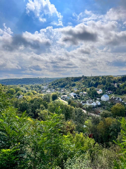A peaceful Nigerian landscape showing open land and houses with green hues reflecting growth and opportunity.