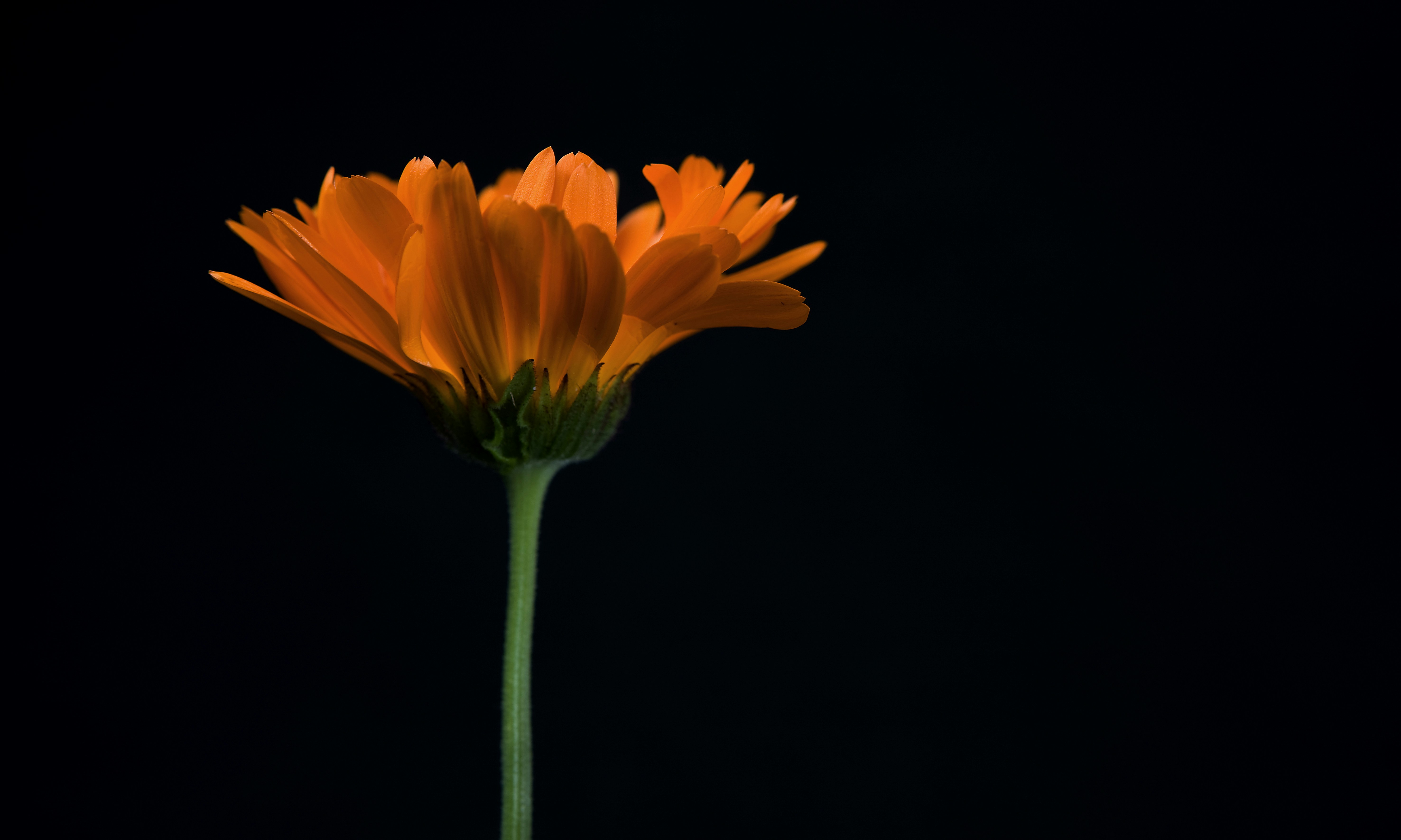 Photo by scandinavianphotography_dot_net