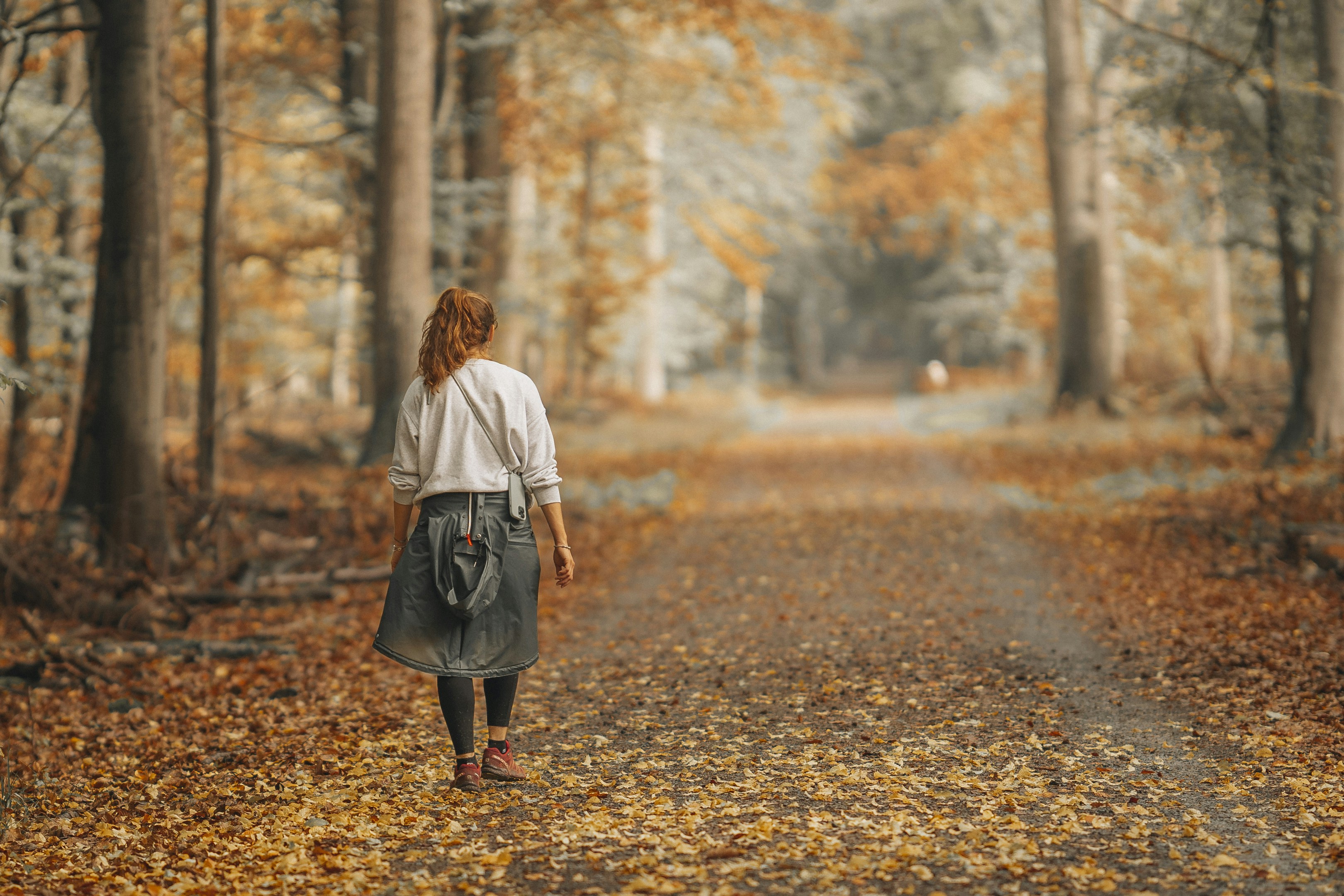 Photo by masoodaslami