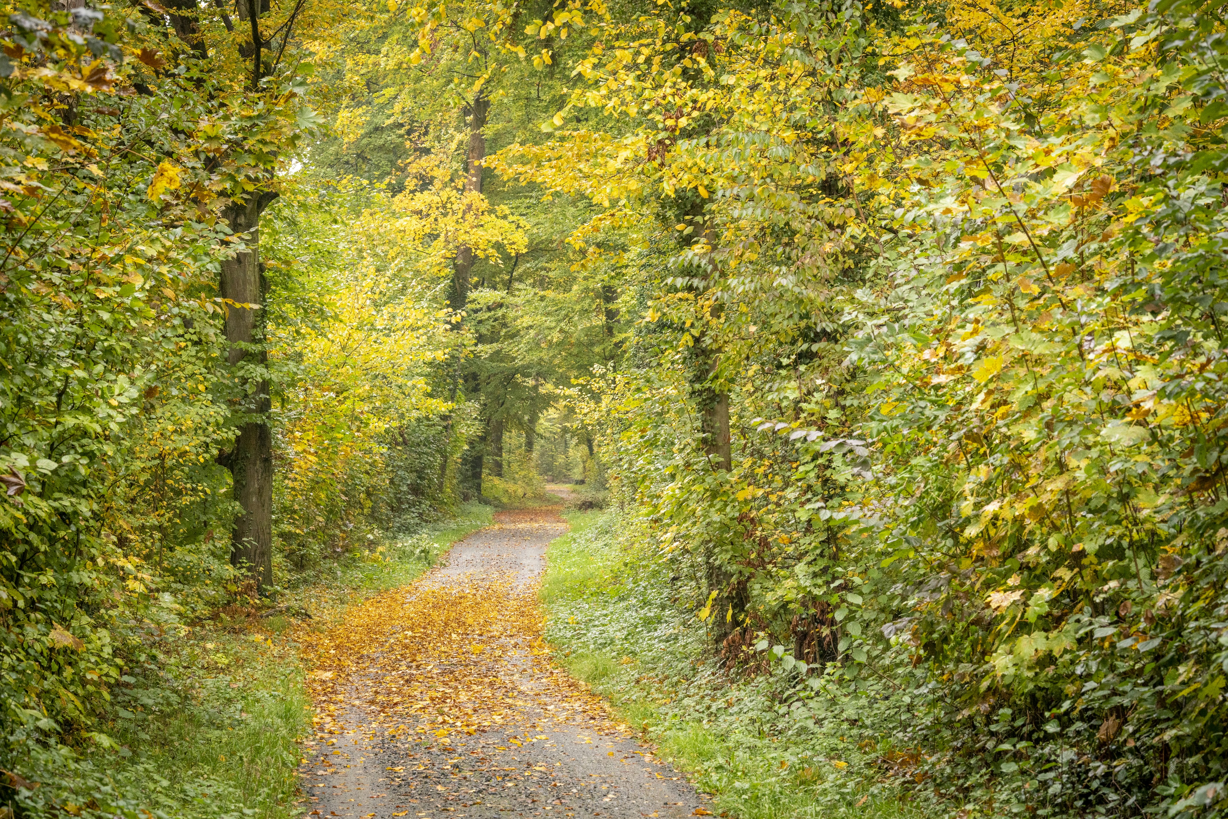 Photo by masoodaslami