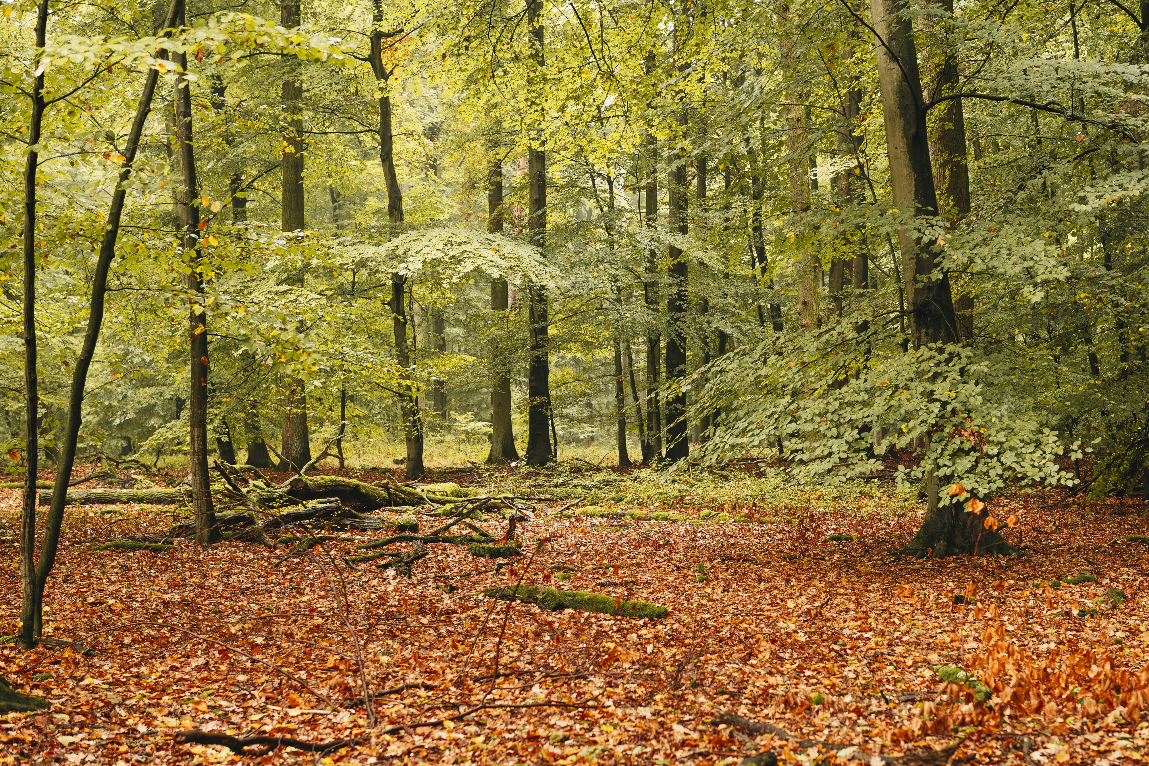 Photo by masoodaslami