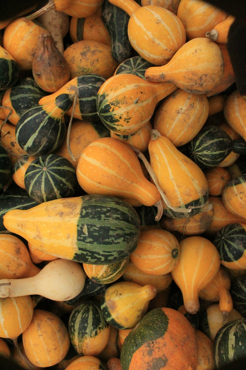 a pile of colorful vegetables