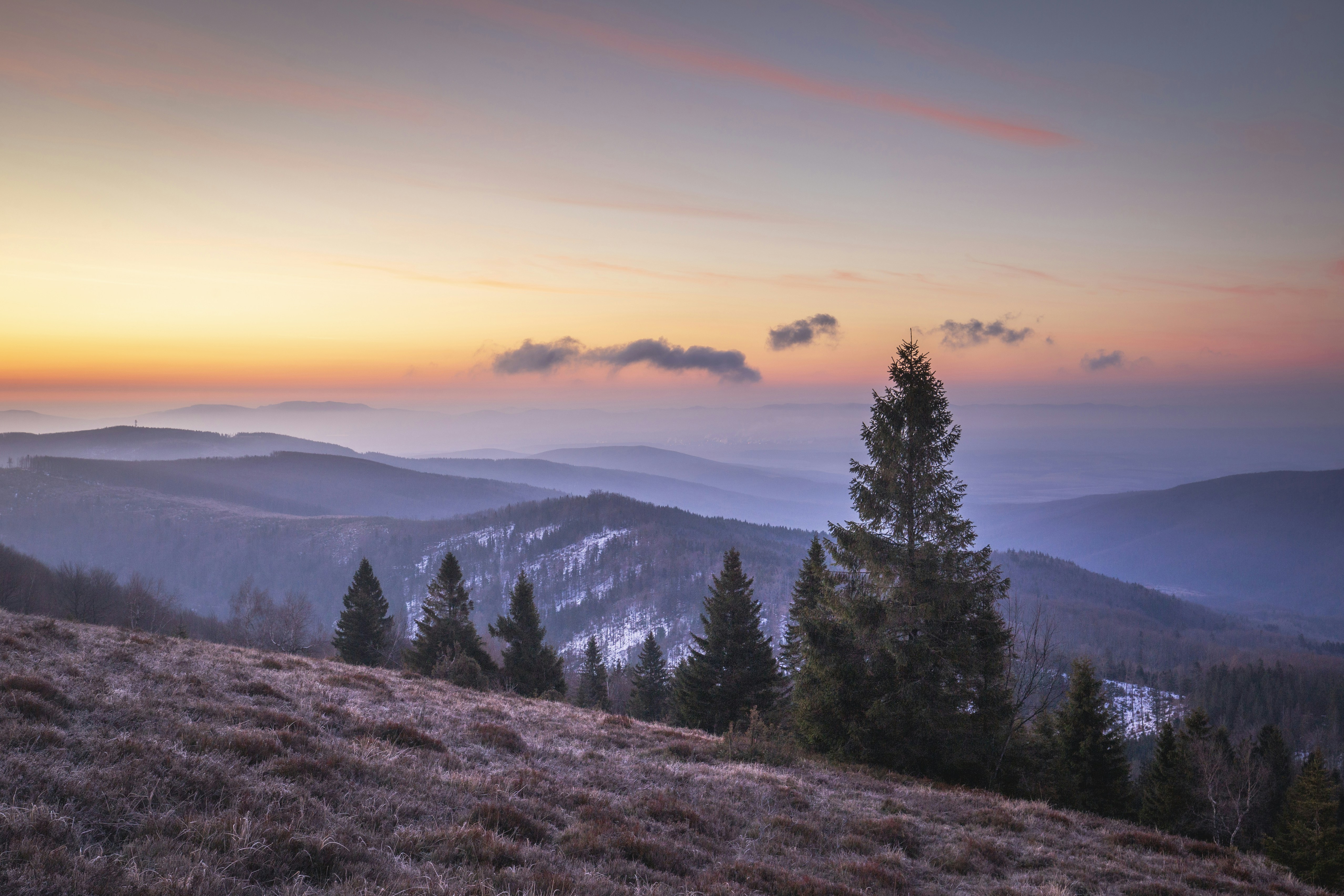 Photo by tomasbartko