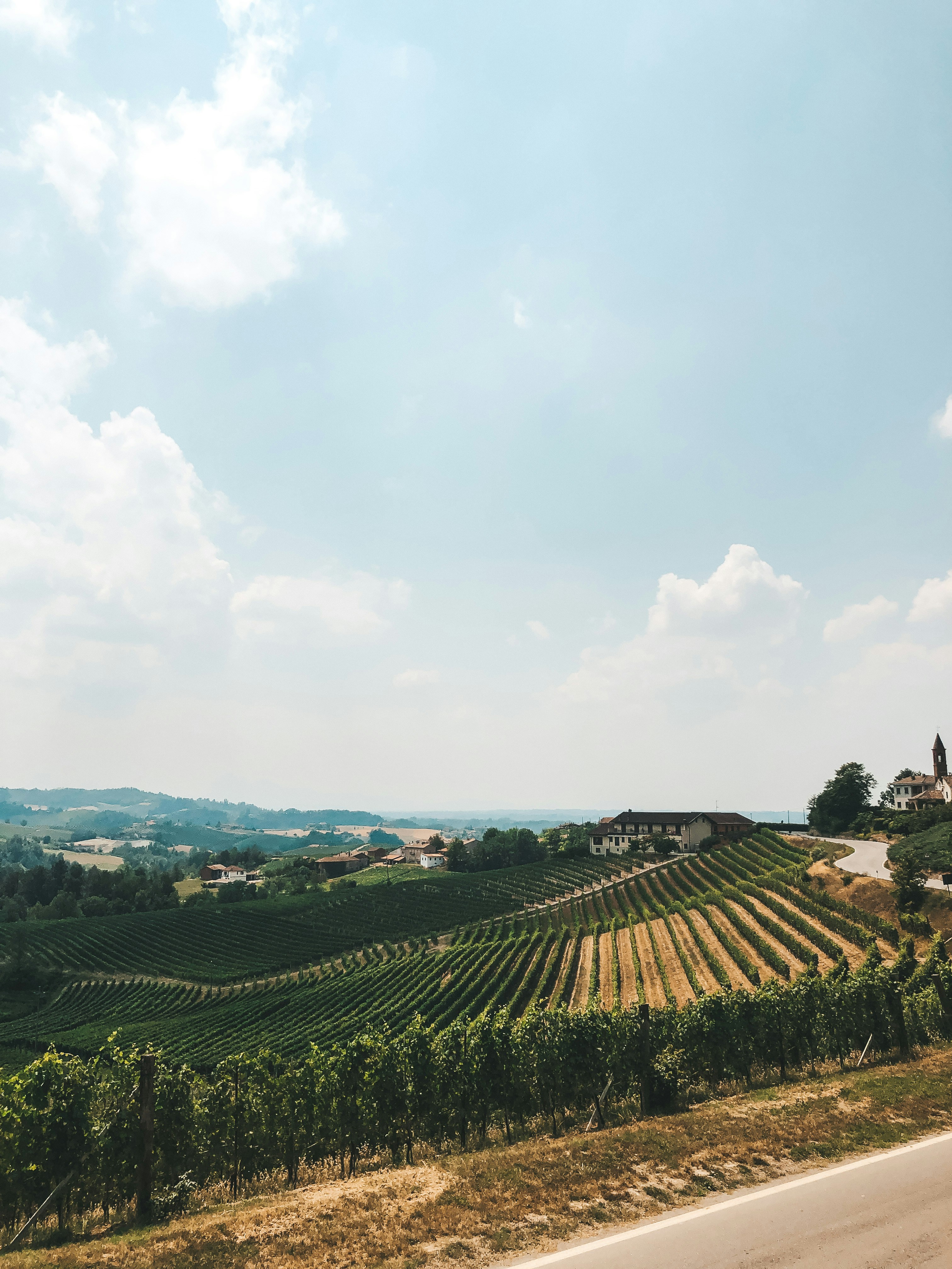 Mardin Süryani Şarapları