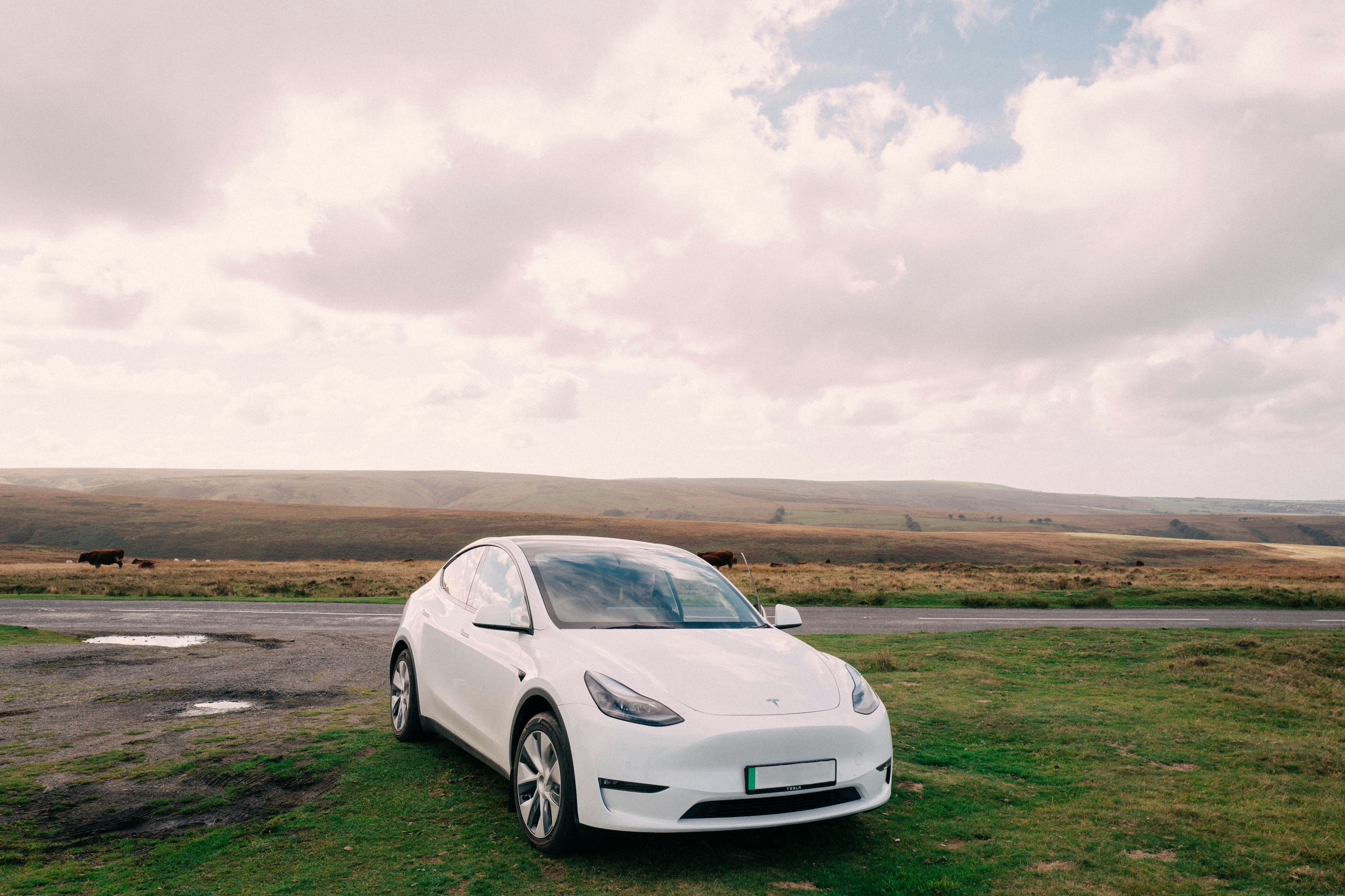 Tesla Model 3 Long Range for Sale: 2025 Buyer’s Guide