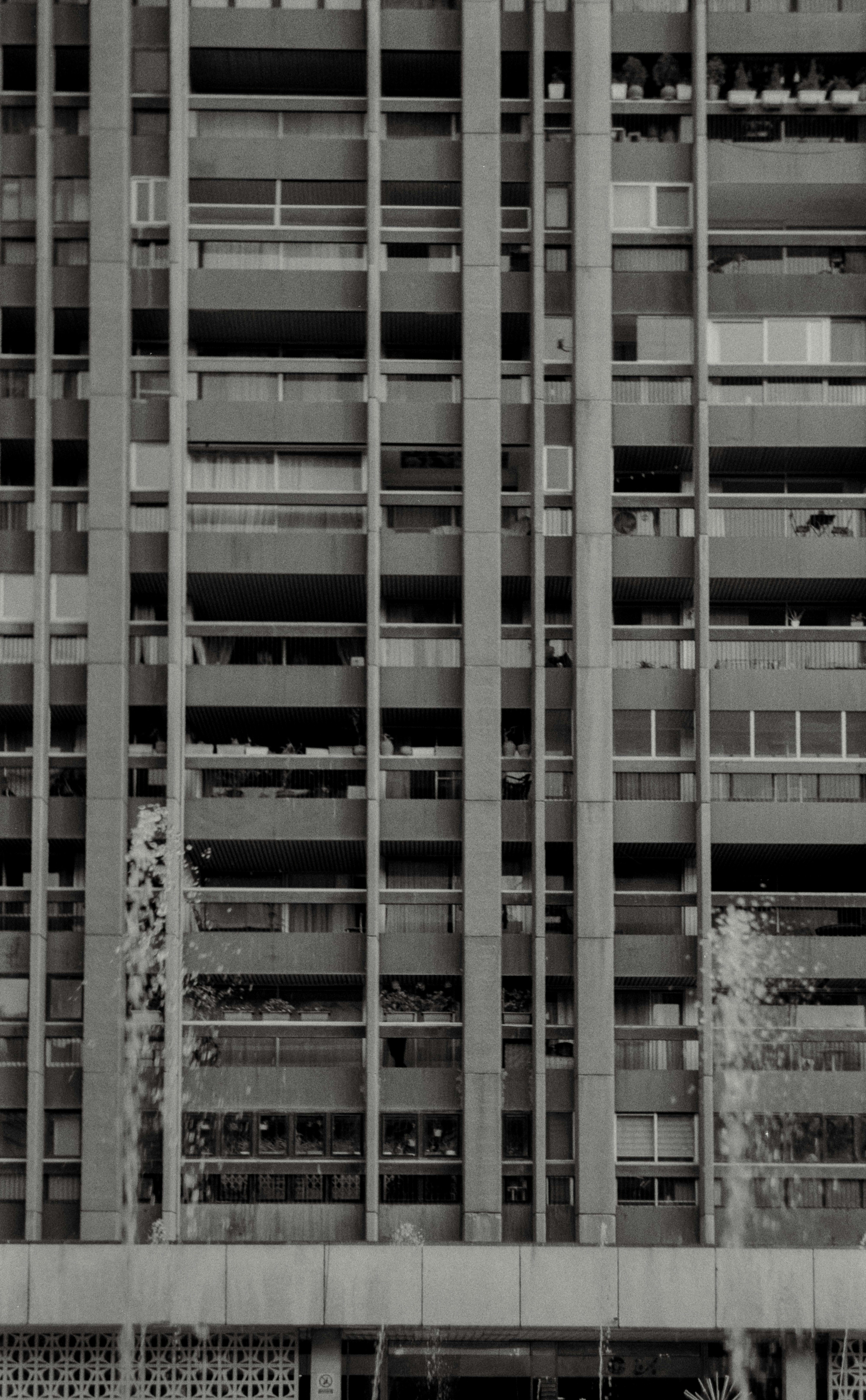 Photo by parisa_ssdgh