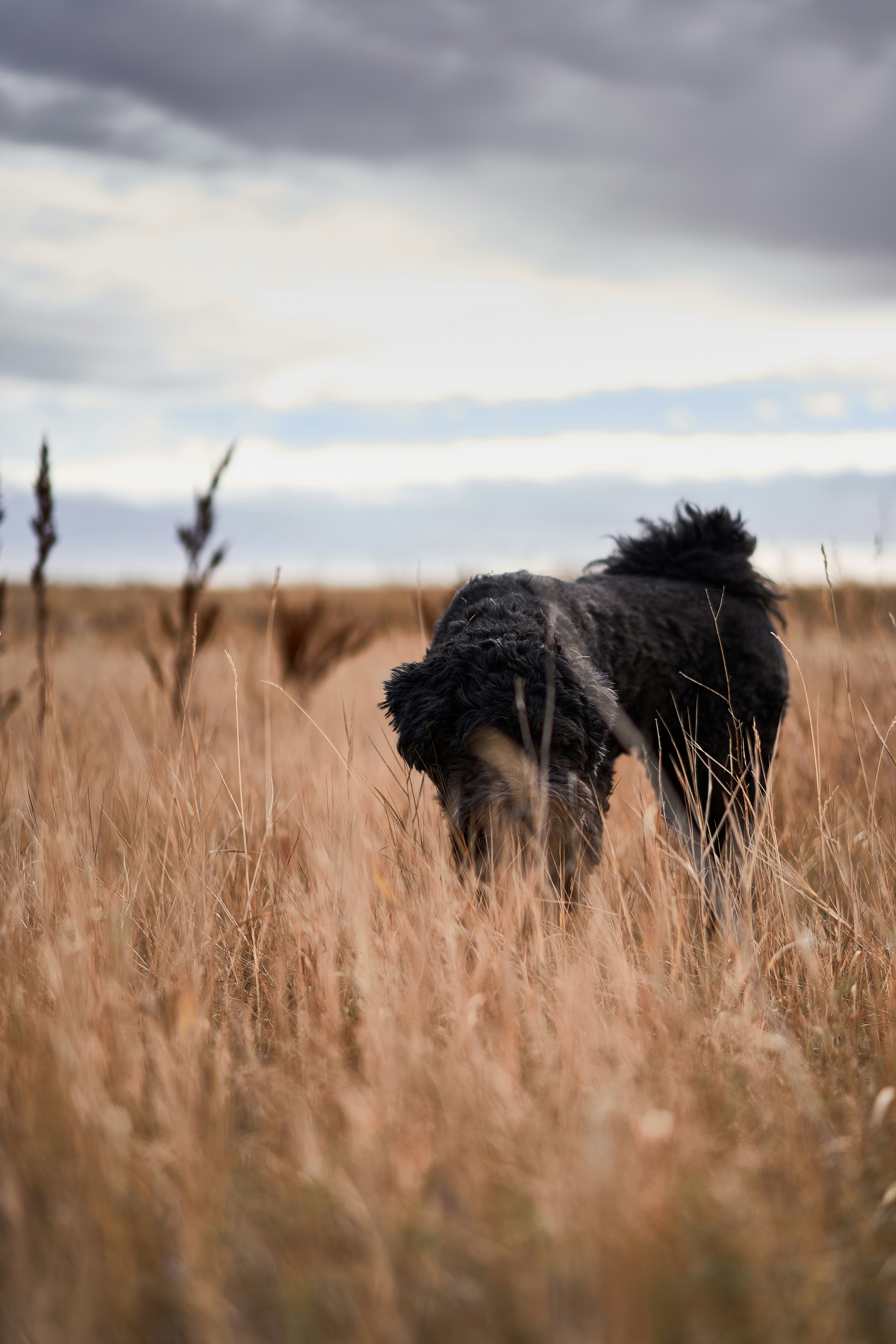 Photo by suicide_chewbacca