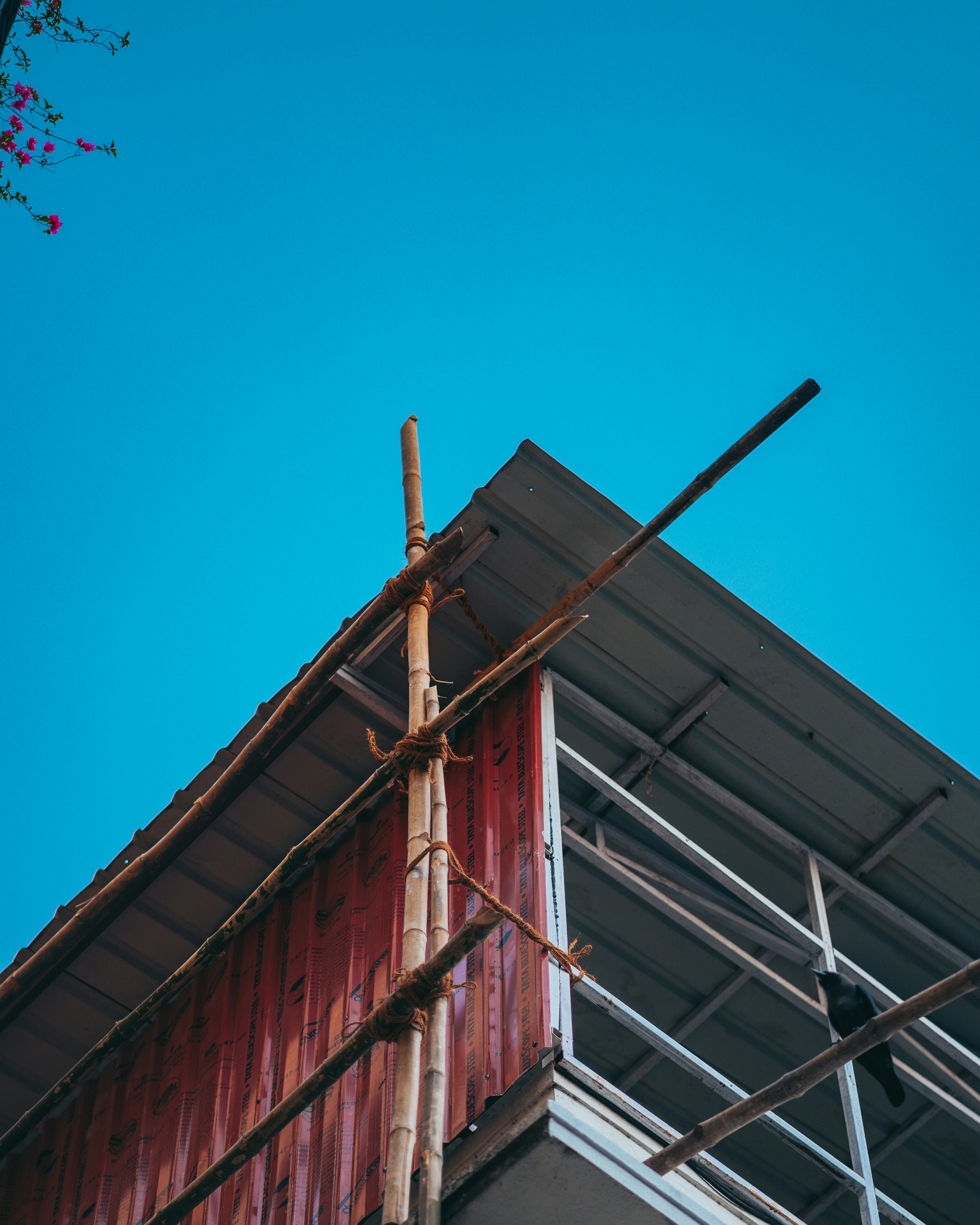 Photo by singhrupinder