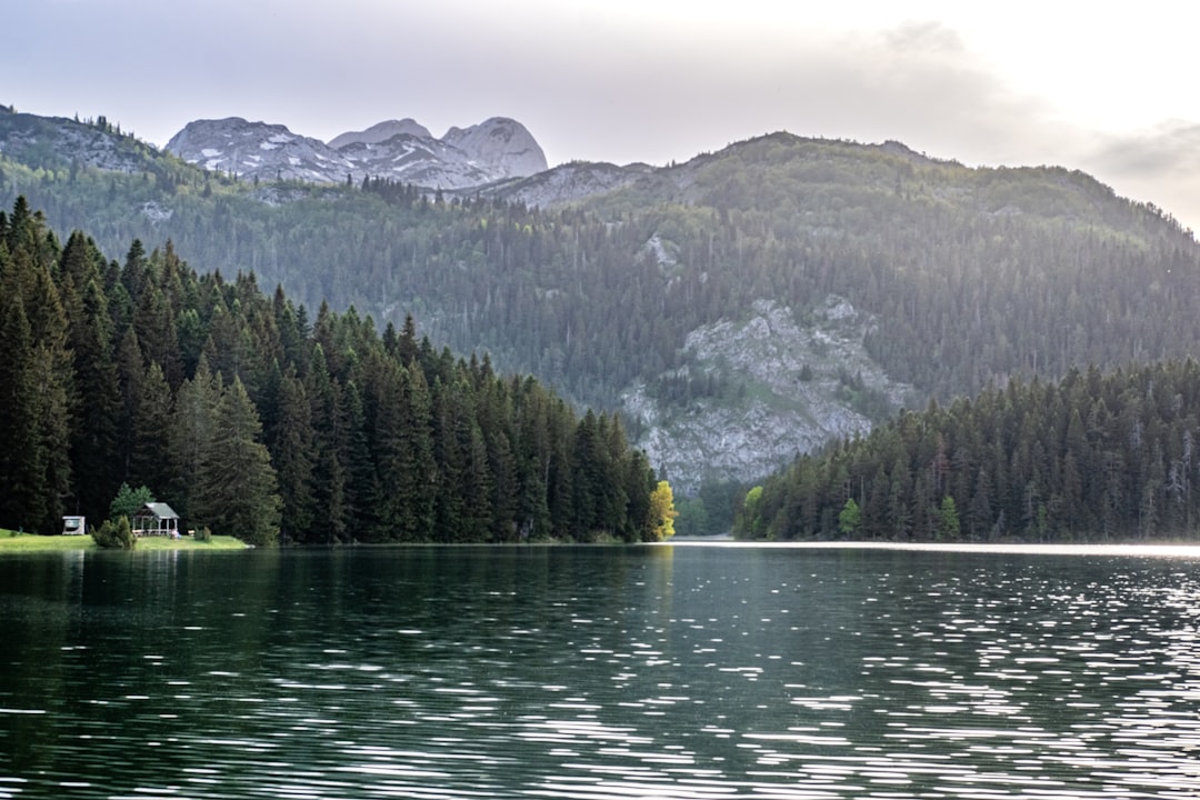 a lake with trees and mountains in the background