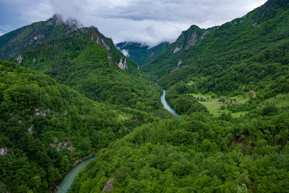 a river running through a valley between mountains with Tara River Canyon in the background