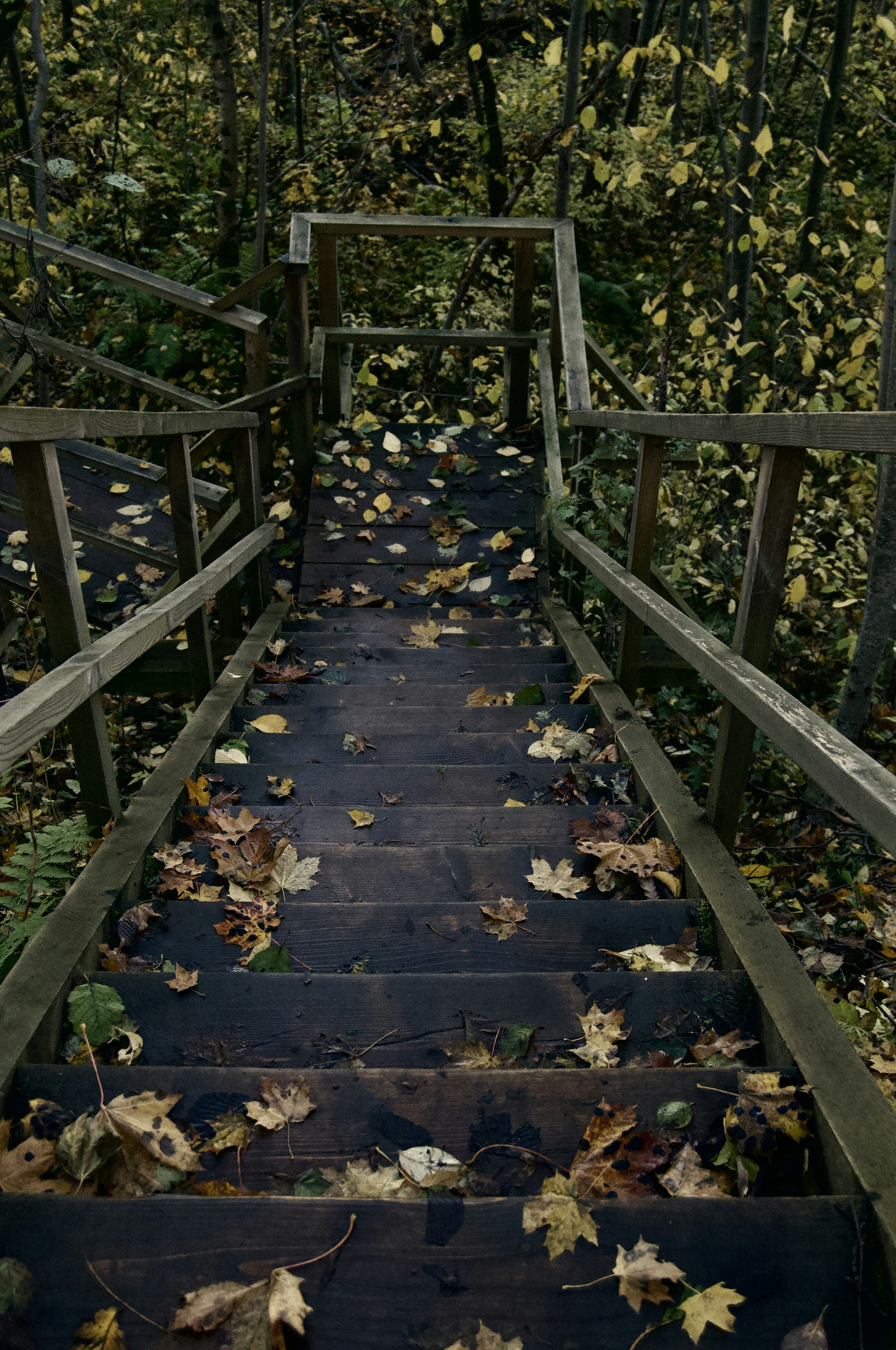 Photo by alexanderphotography