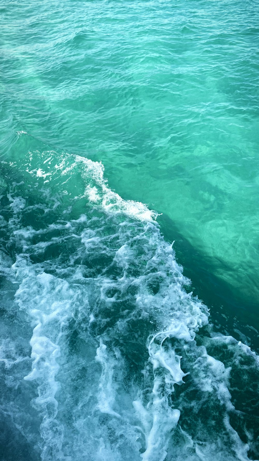 un cuerpo de agua con olas