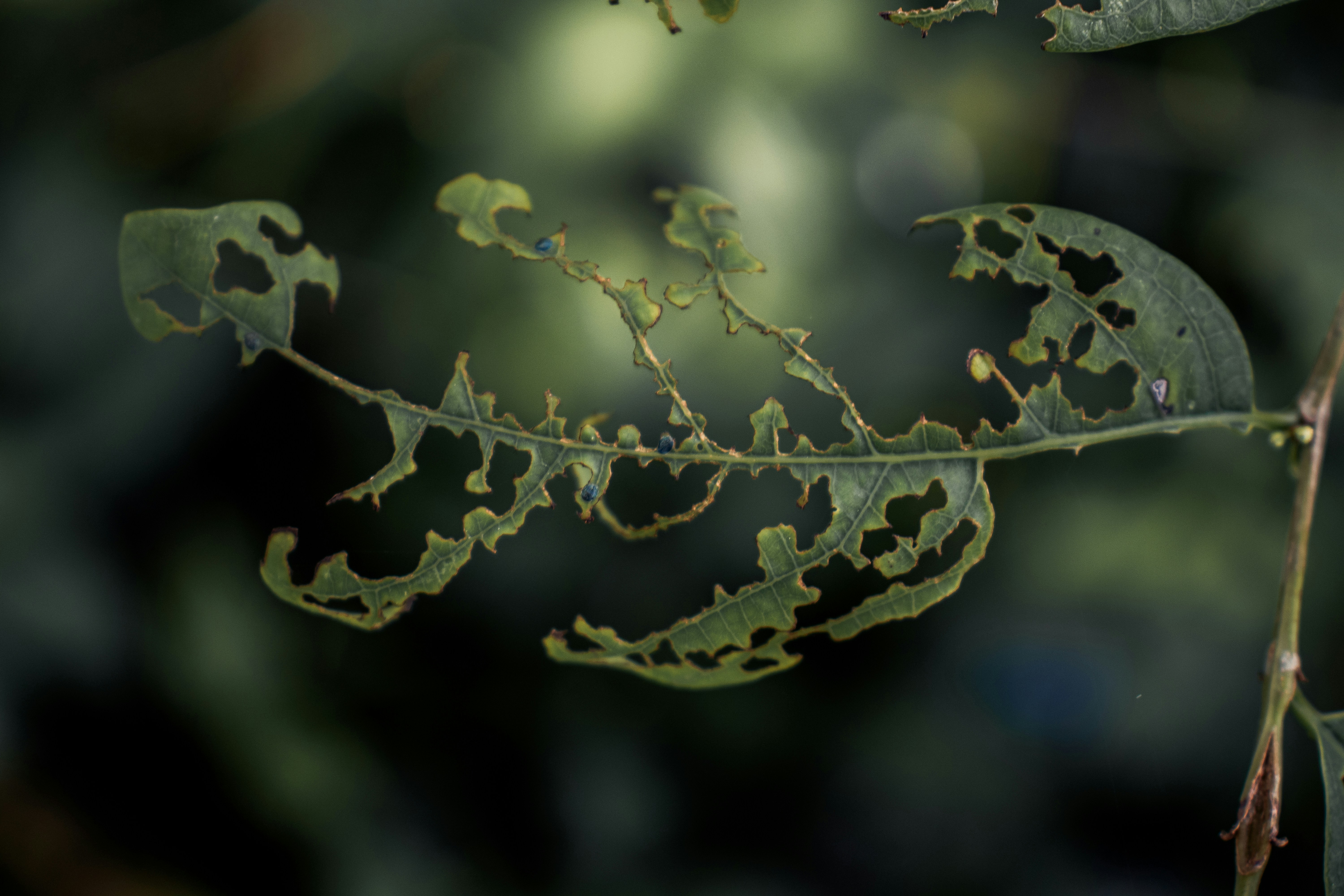 Photo by parimaljain