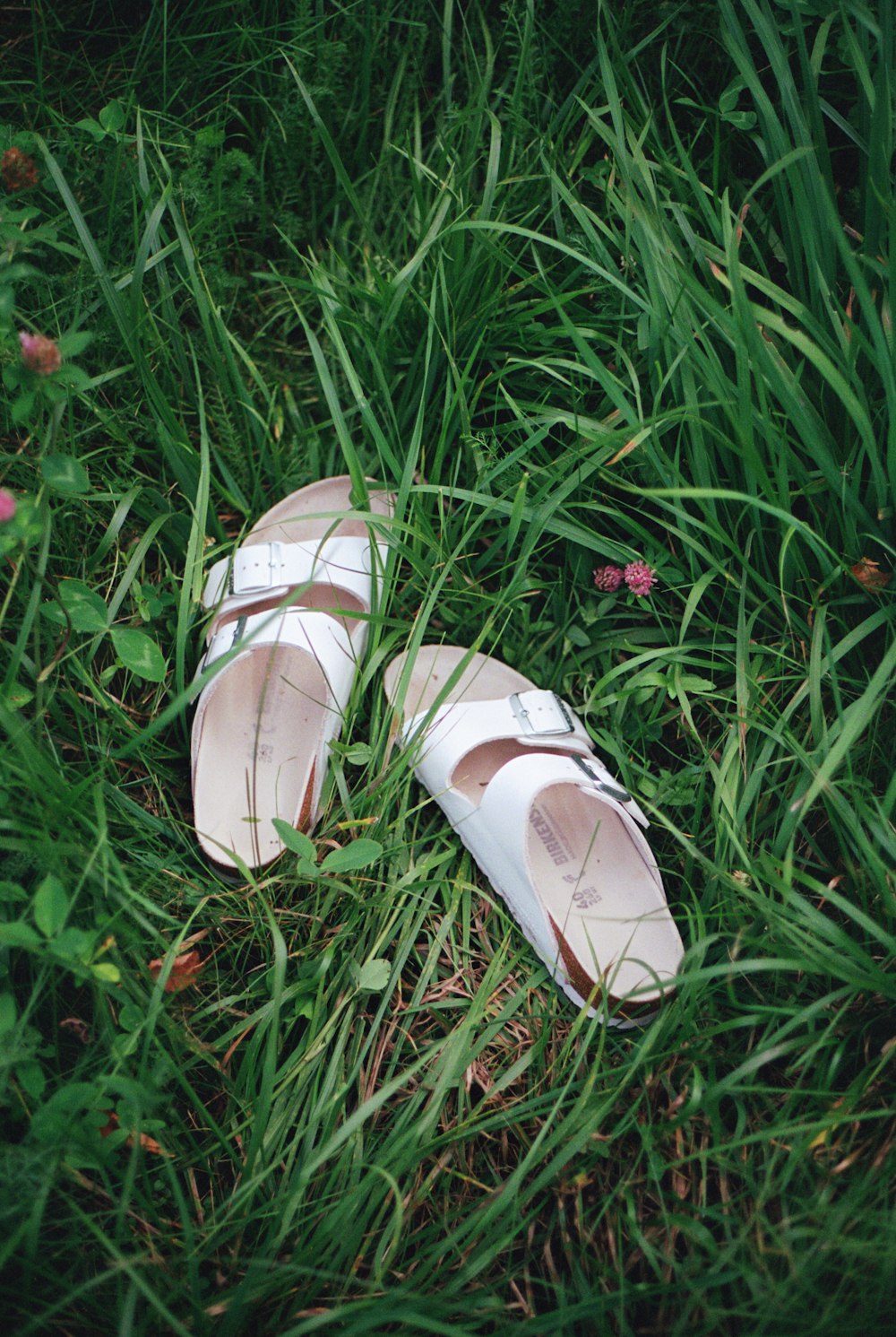 a pair of shoes on grass