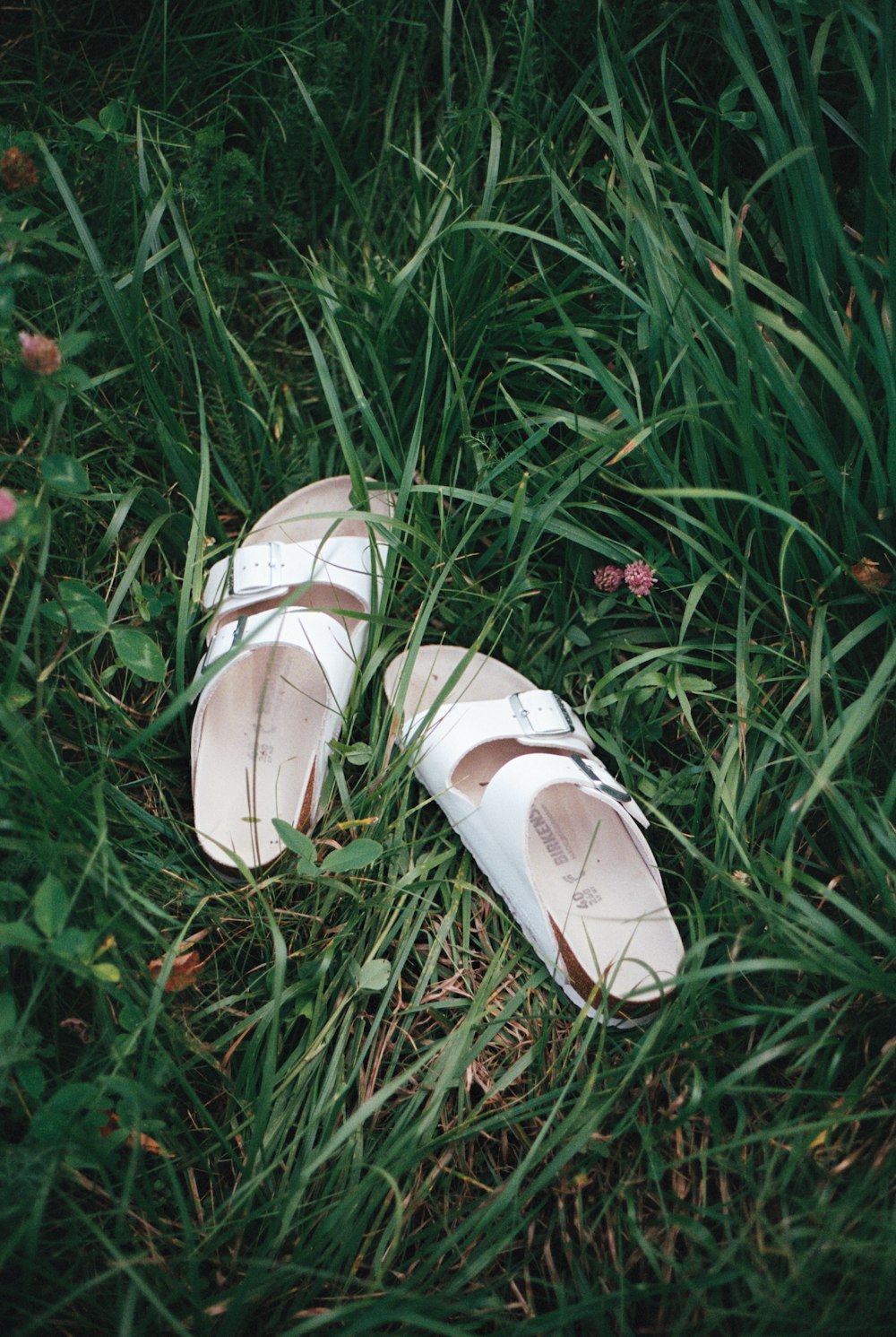 a pair of shoes on grass