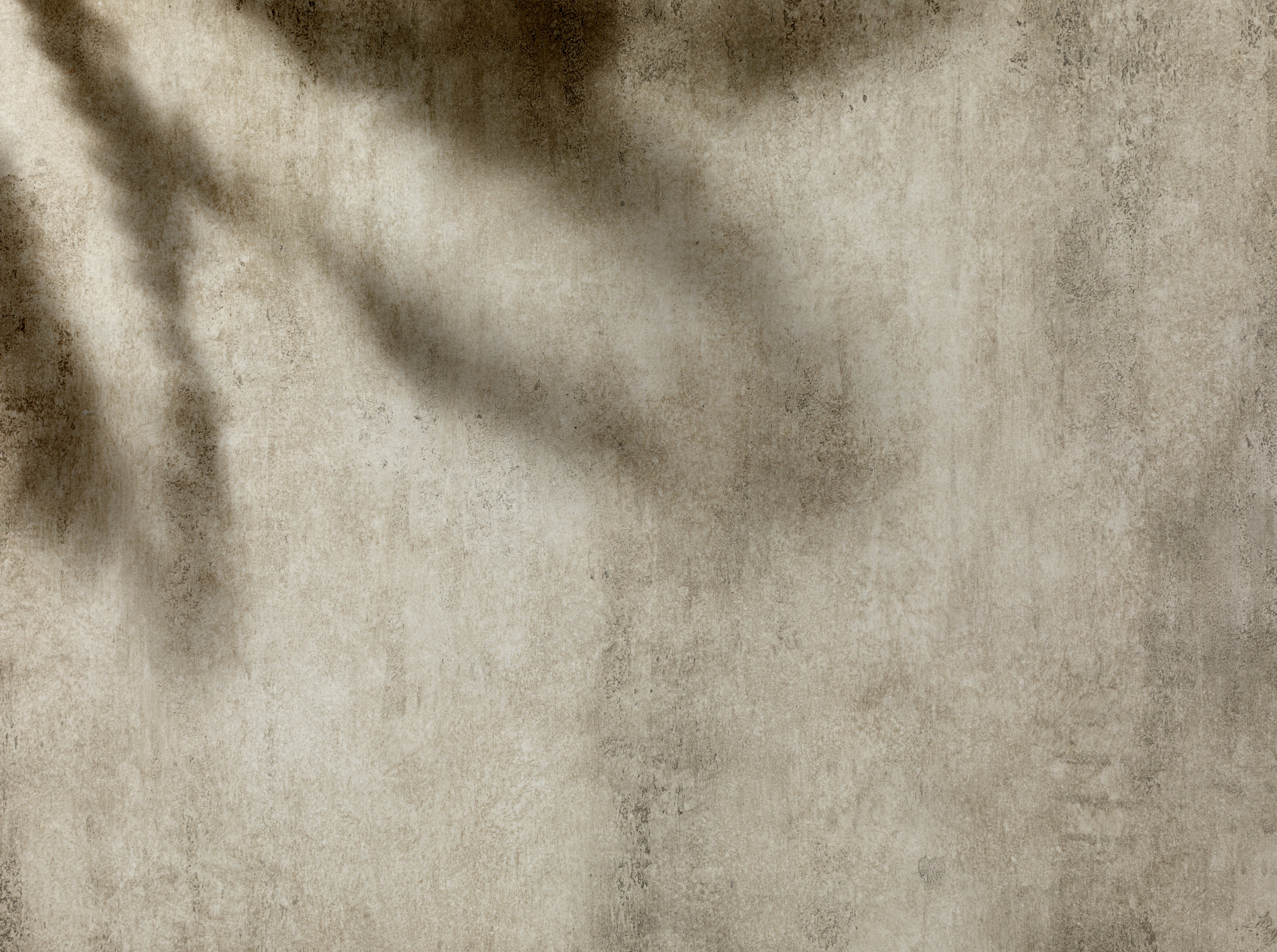 Light concrete wall texture background with leaves shadow