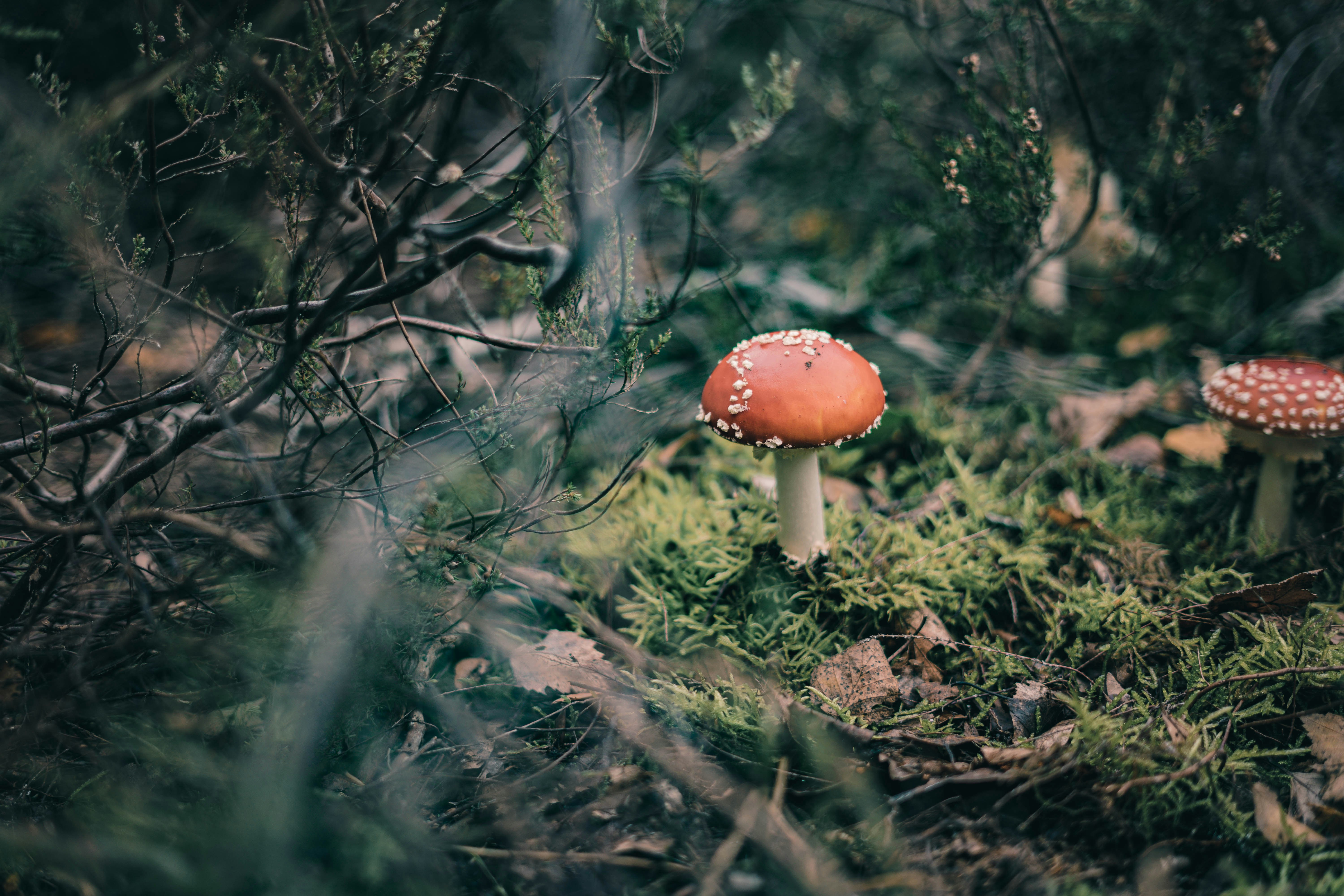 Photo by studio_byrobi