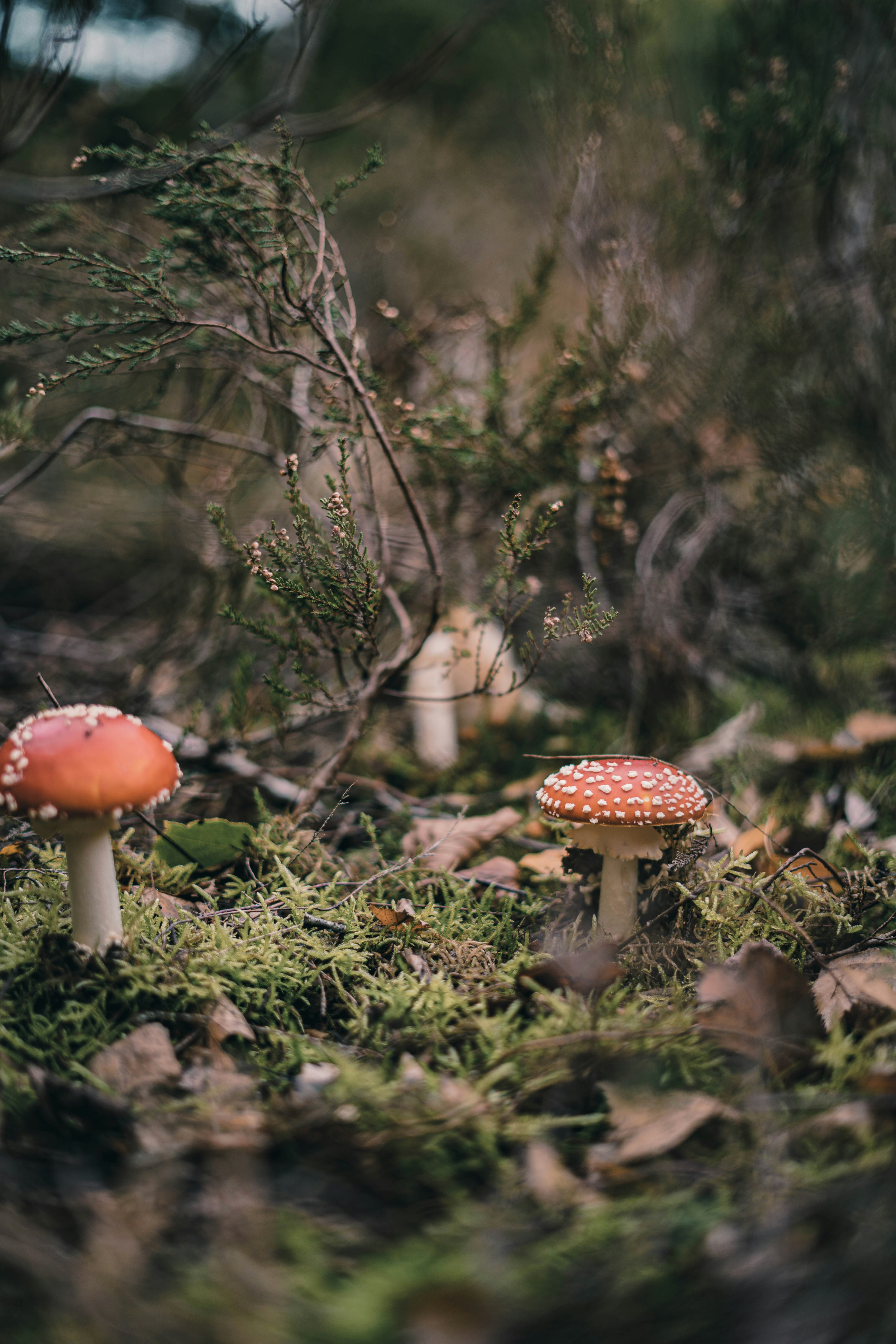 Photo by studio_byrobi