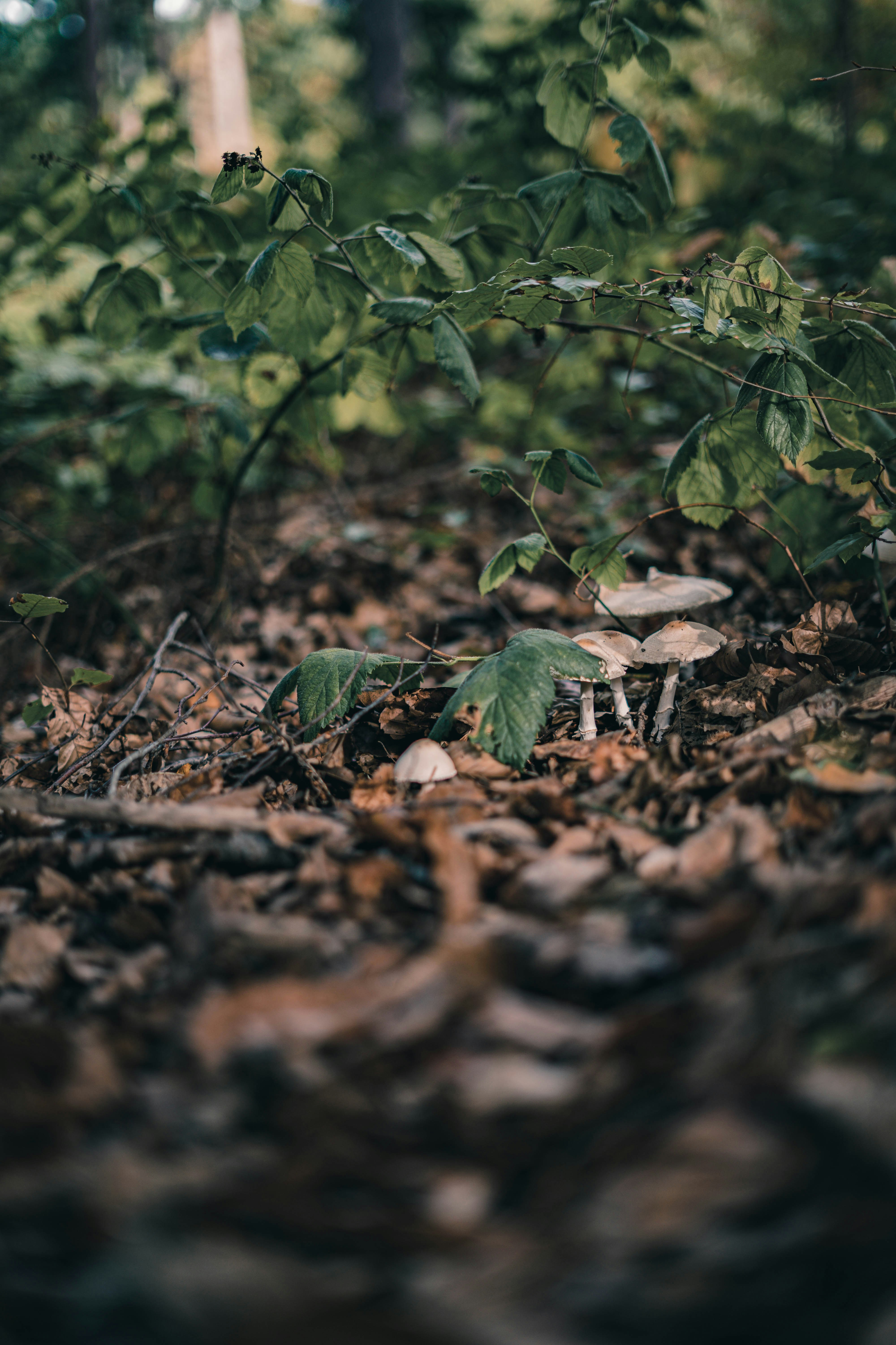 Photo by studio_byrobi