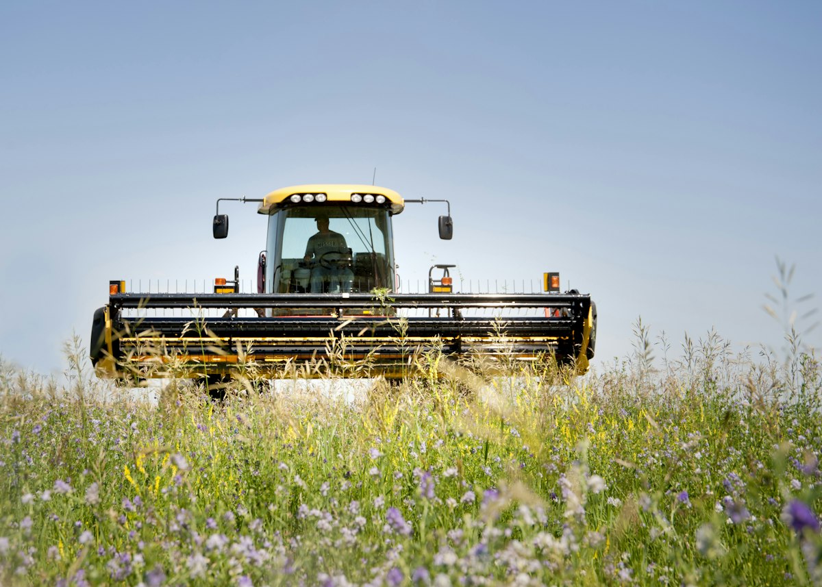 A yellow swather cutting through a field of wildflowers