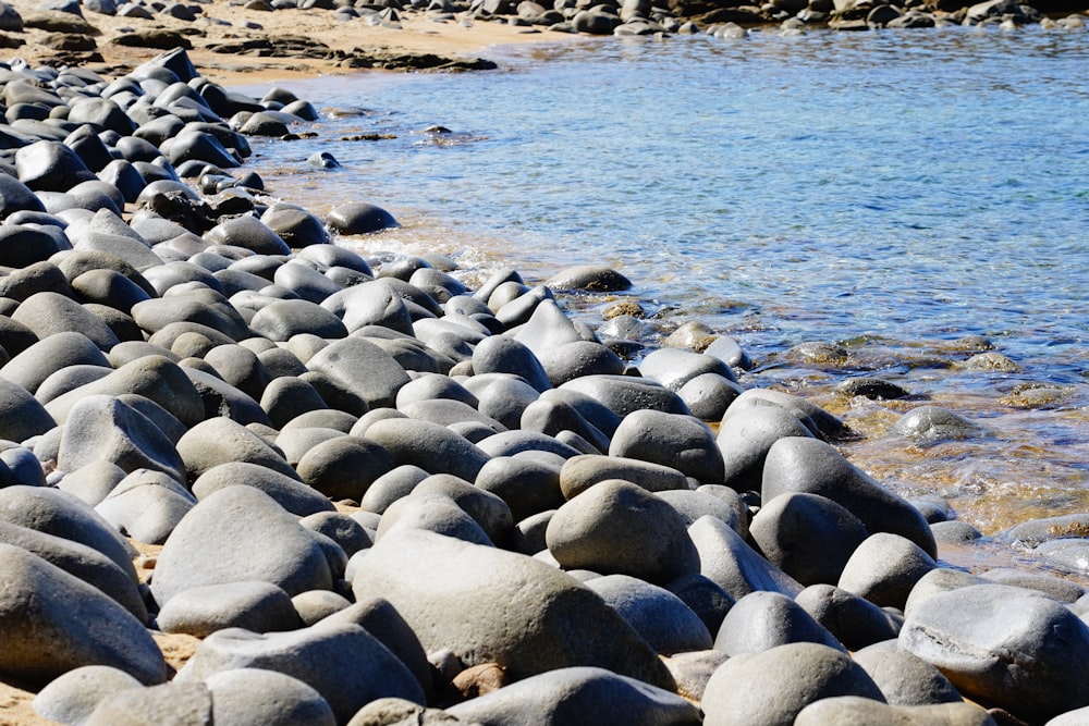 a large group of rocks by the water
