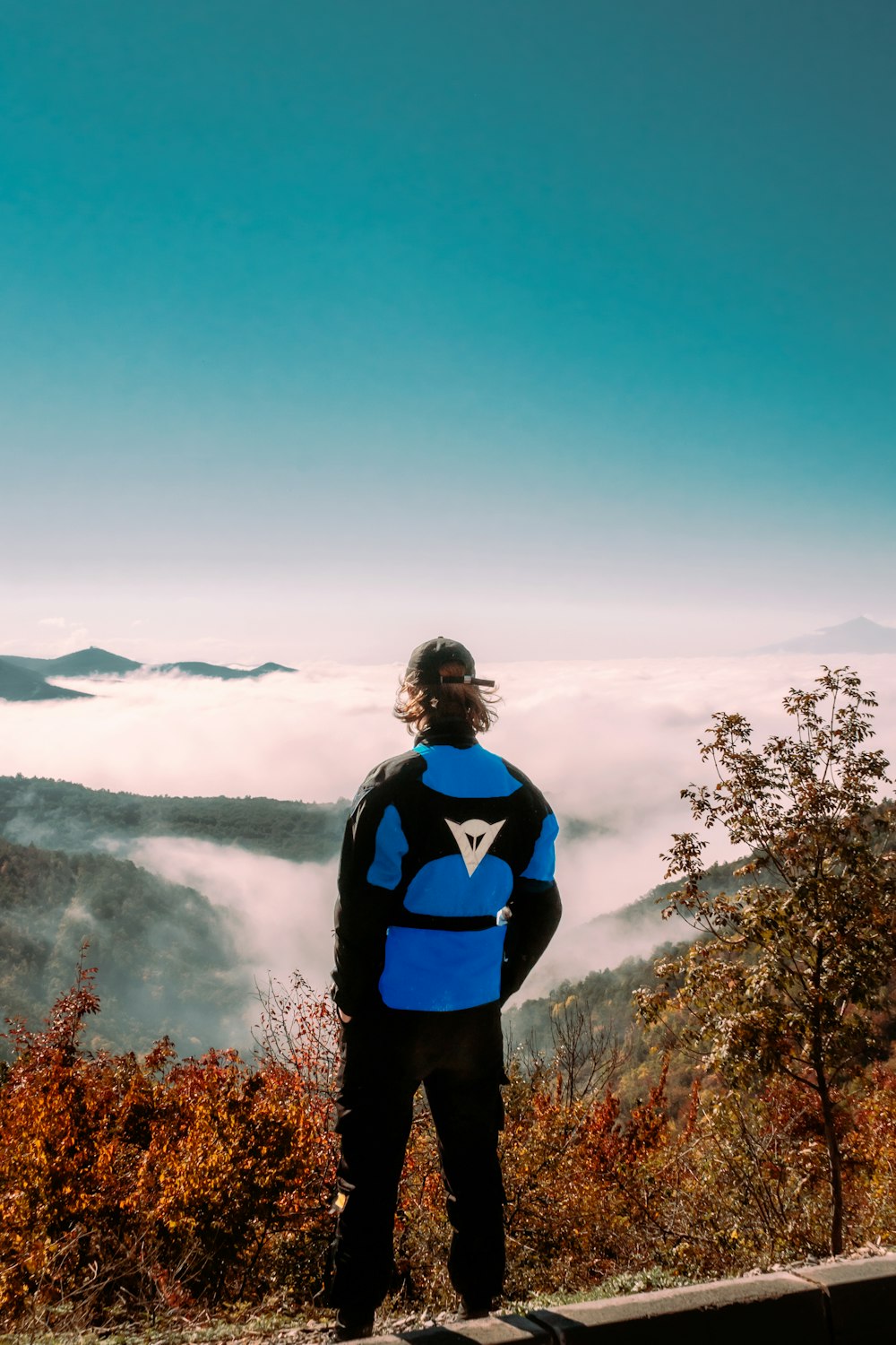 a person standing on a ledge overlooking a forest and clouds