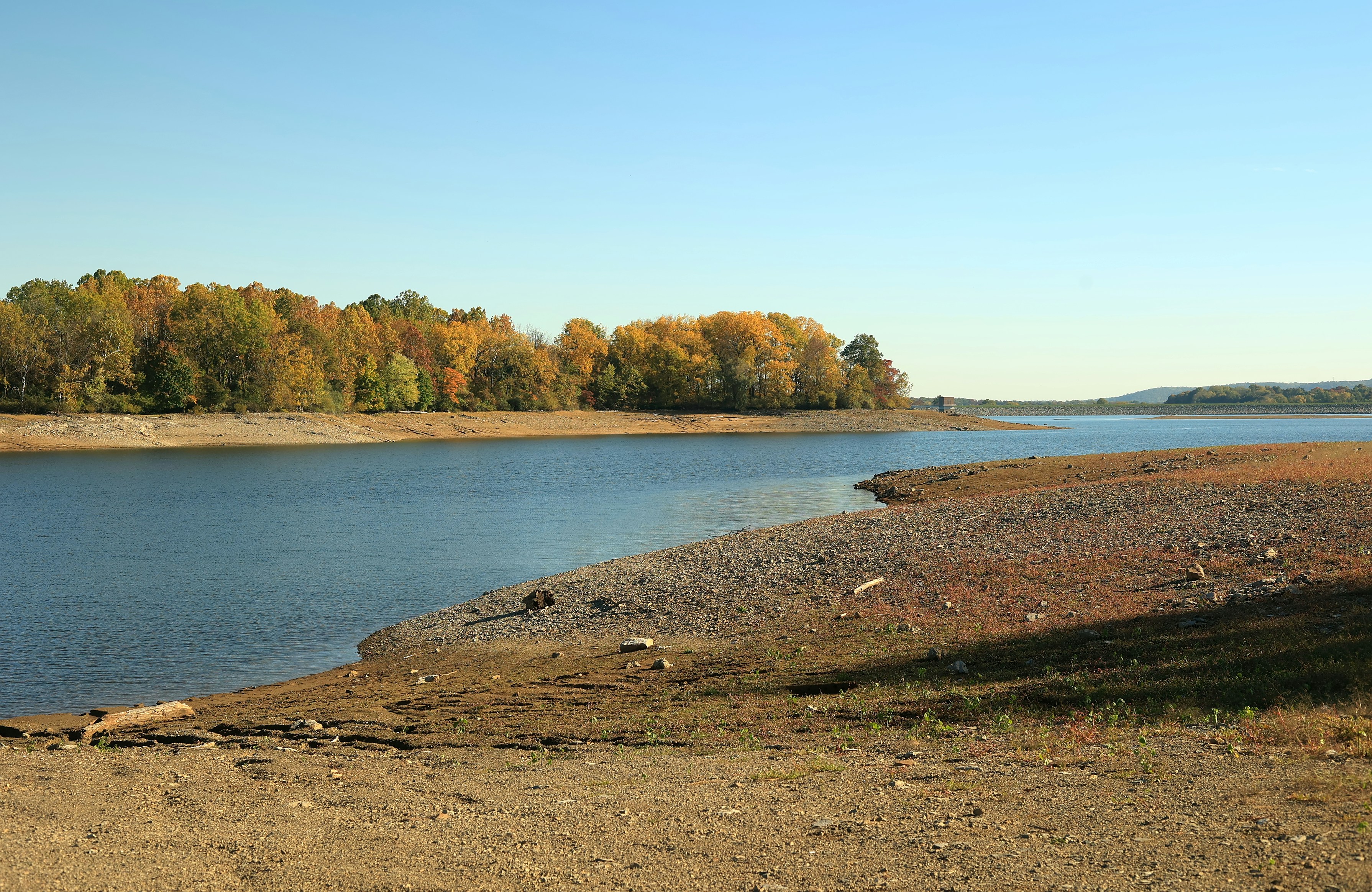 Photo by sherebiahtishbi