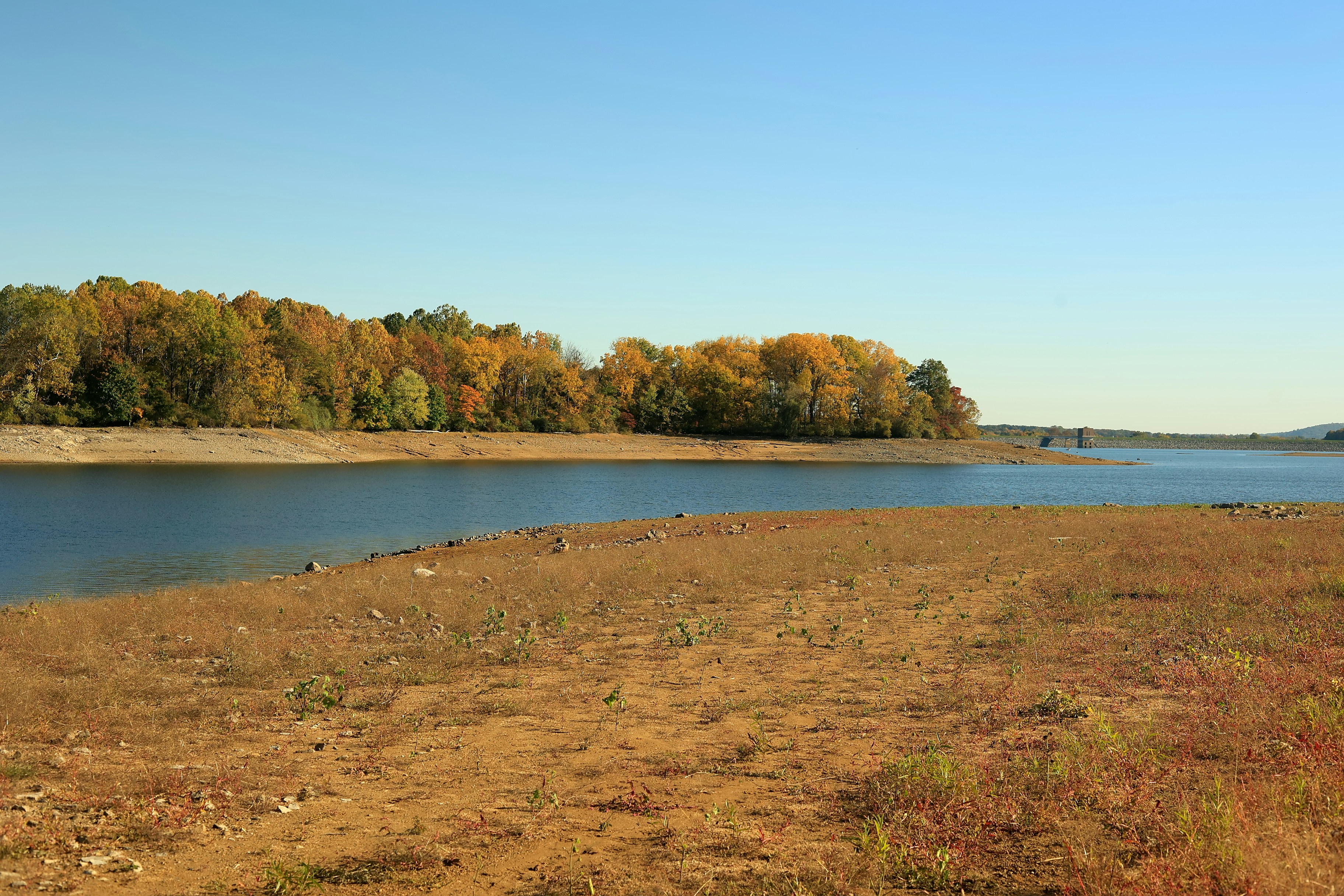 Photo by sherebiahtishbi